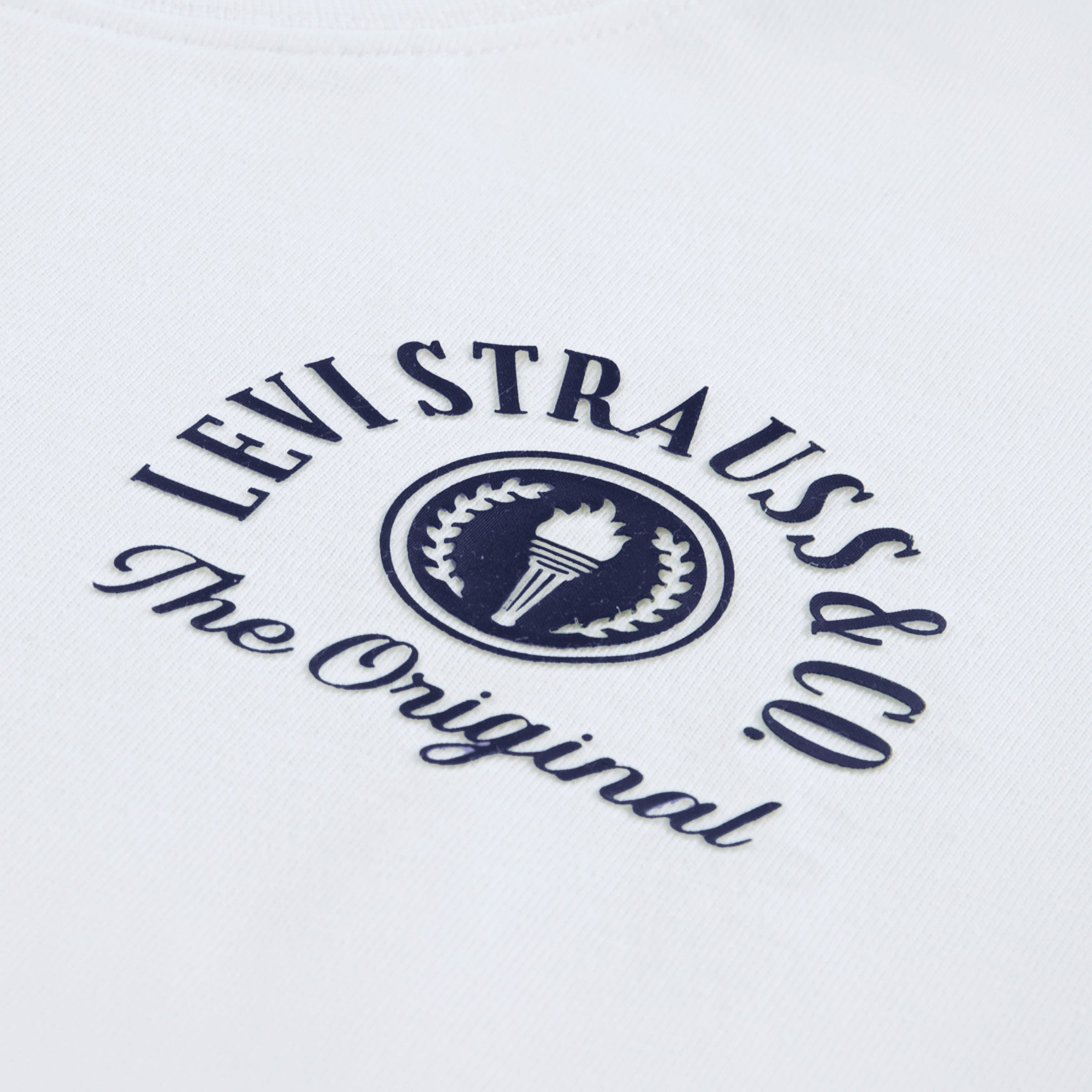 Levi's® Kids T-Shirt »LVB URBAN PREP TEE« for Boys, mit Stickerei und Print