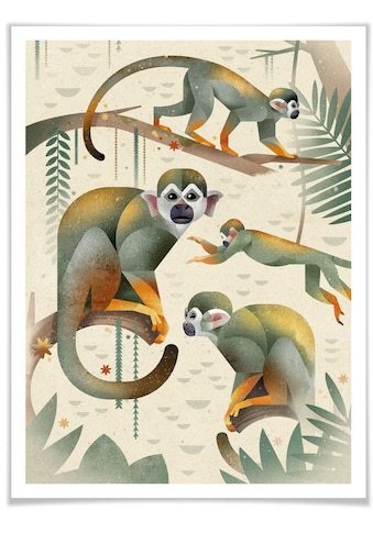 Poster »Squirrel Monkeys«, Tiere, (1 St.)