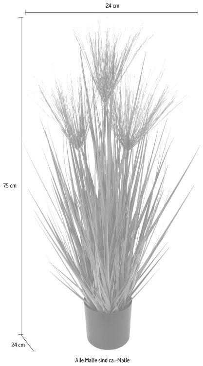 I.GE.A. Kunstpflanze »Zyperngras im Topf«