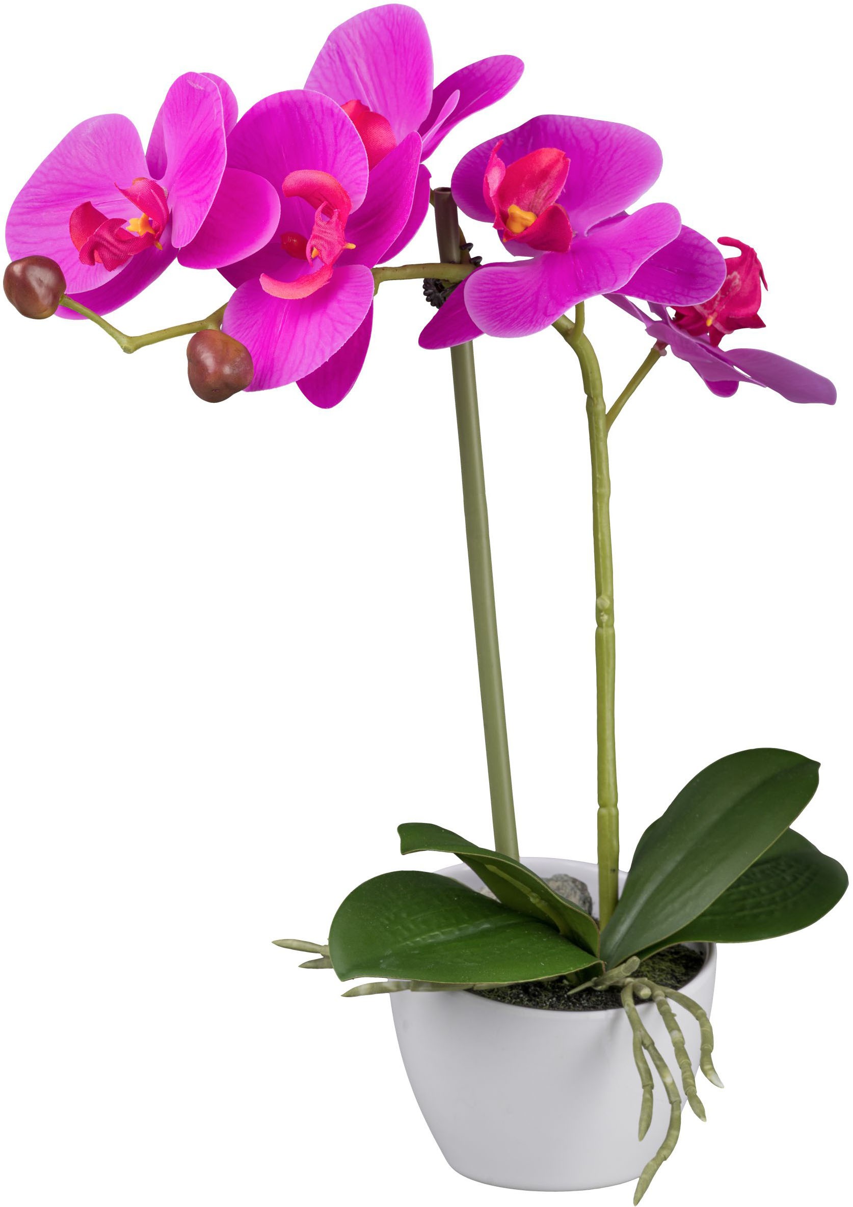 Creativ green Kunstorchidee "Orchidee Phalaenopsis", im weißen Design-Topf günstig online kaufen