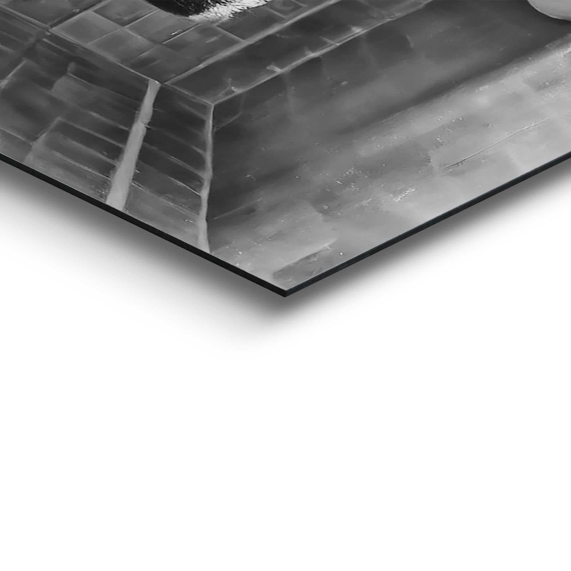 Reinders! Deco-Panel »Highlander Toilet«