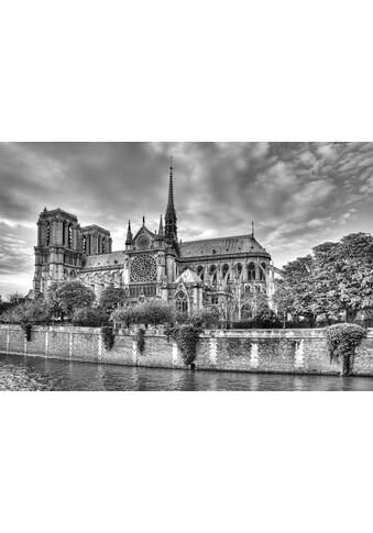 Papermoon Fototapetas »Notre Dame juoda spalva &...