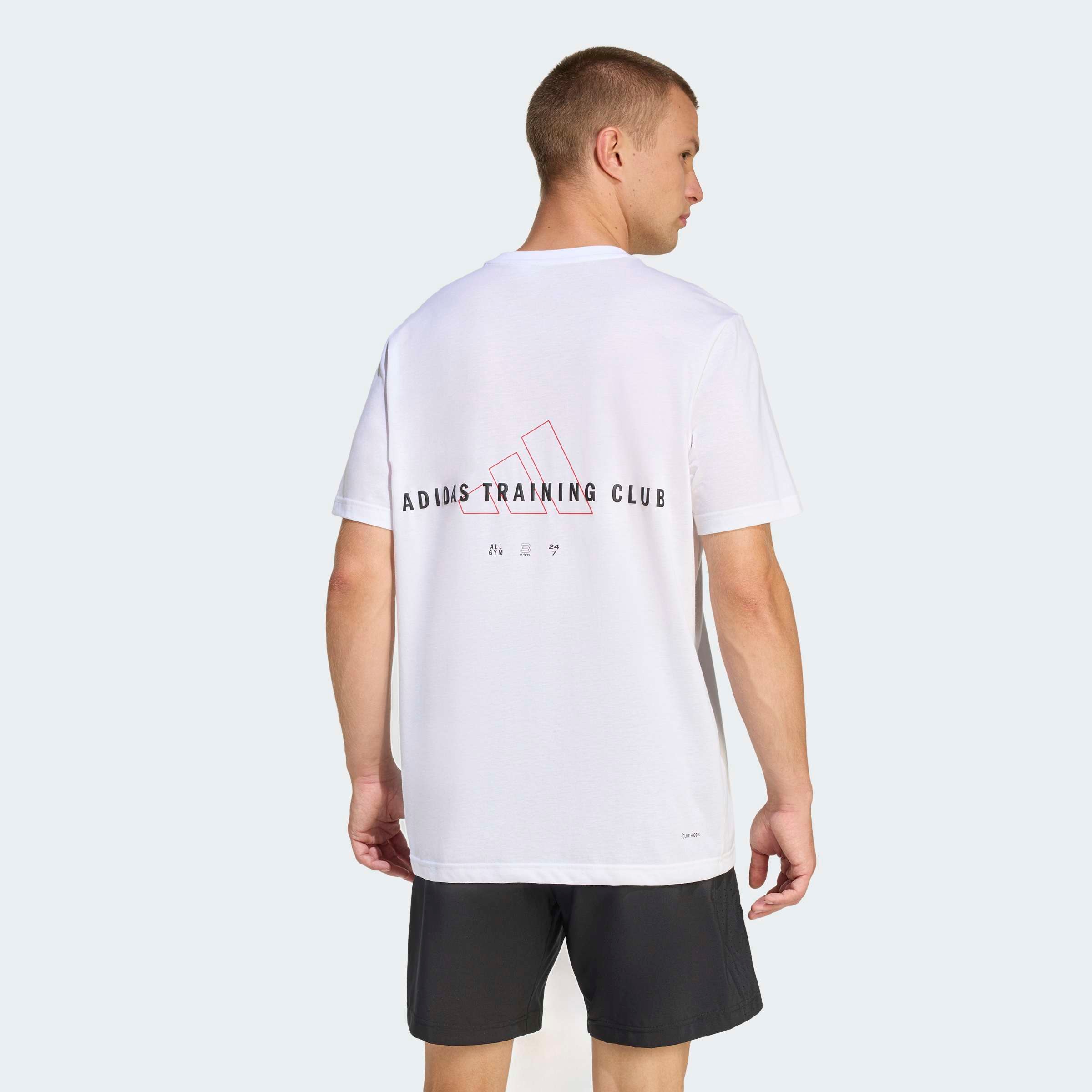 adidas Performance T-Shirt »CLIMACOOL TRAINING IDENTITY GRAPHIC«