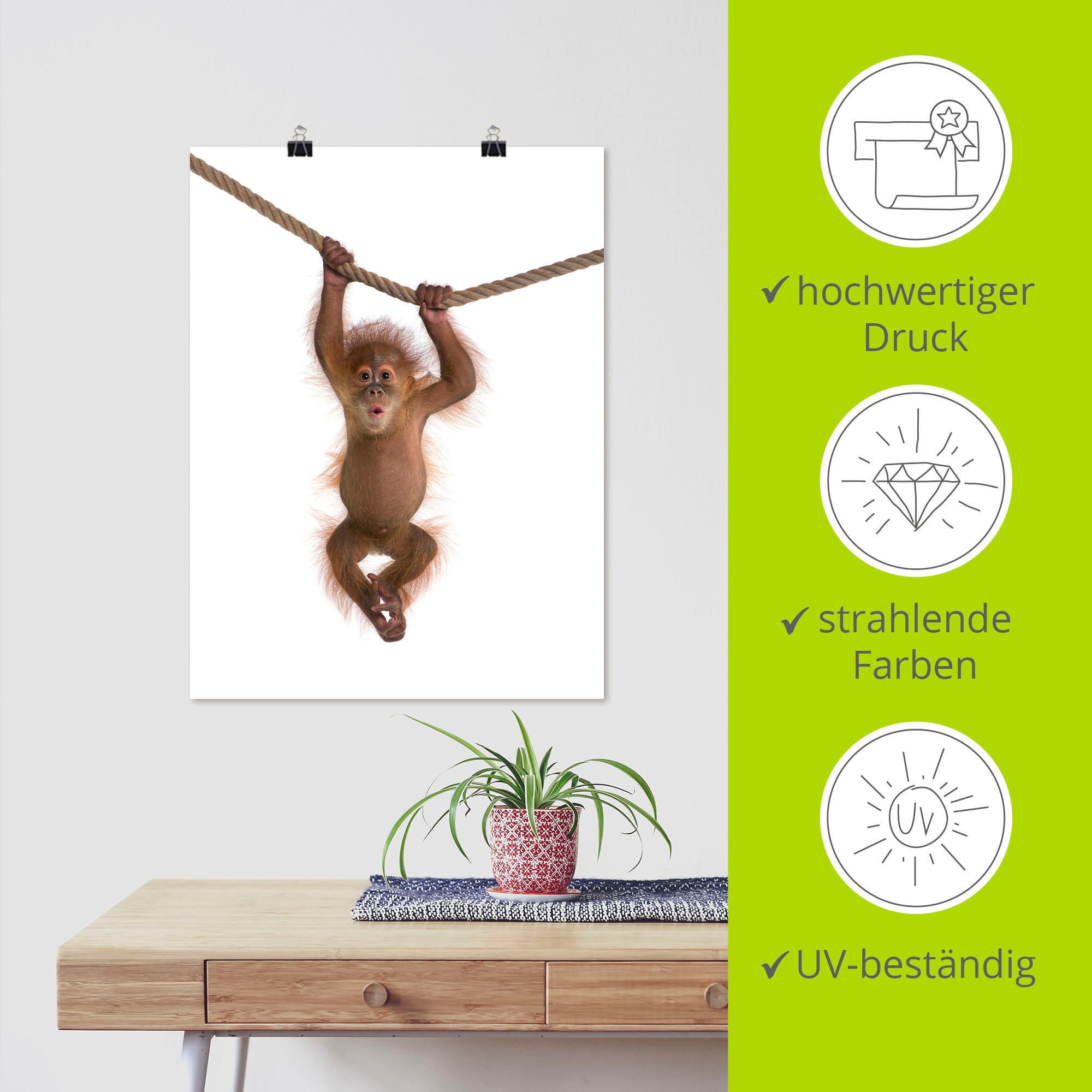 Artland Wandbild »Baby Orang Utan hängt an Seil II«, Wildtiere, (1 St.), als Alubild, Outdoorbild, Leinwandbild, Poster, Wandaufkleber