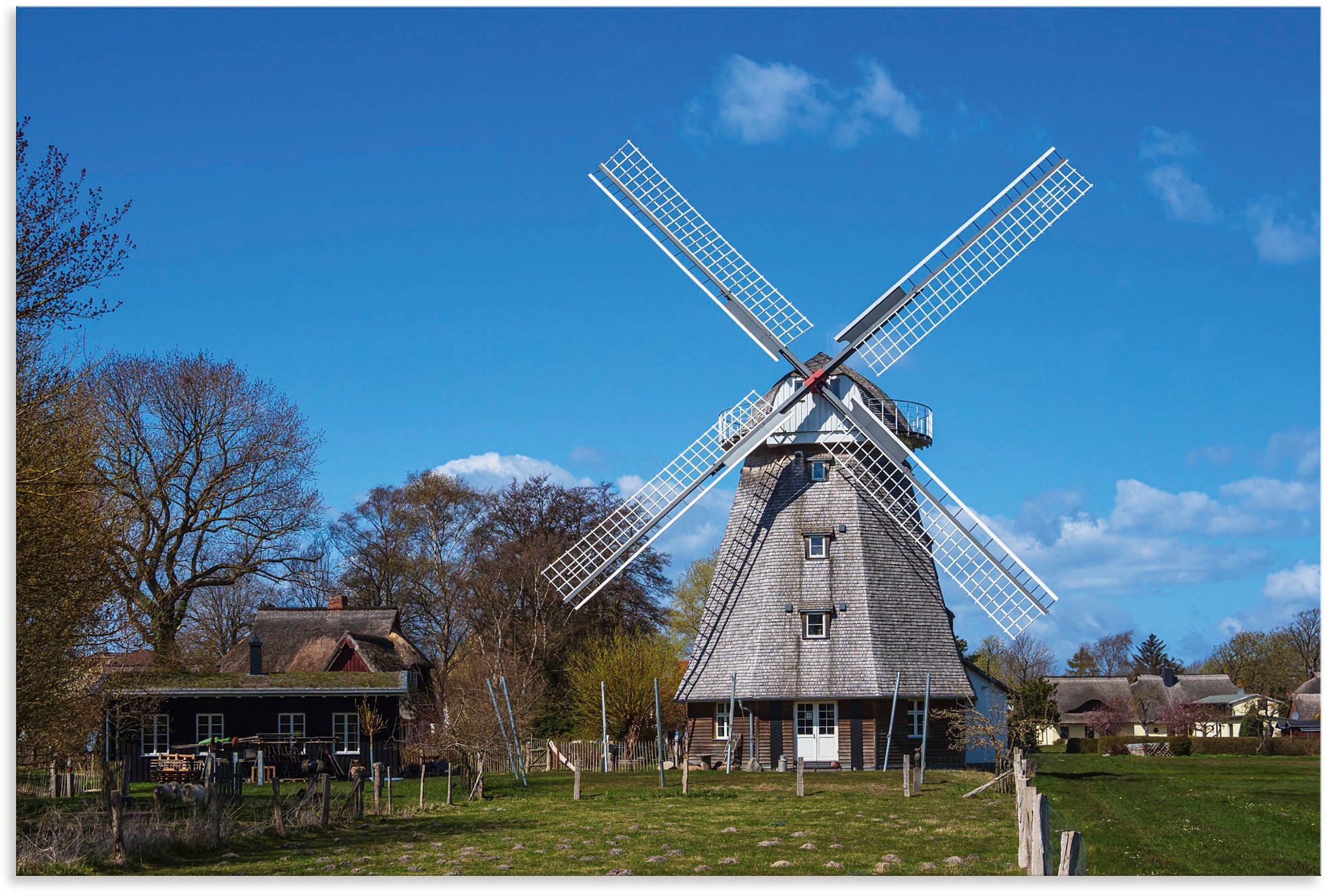 Artland Wandbild »Historische Windmühle in Ahrenshoop«, Gebäude, (1 St.),  als Alubild, Leinwandbild, Wandaufkleber oder Poster in versch. Größen  bestellen | BAUR