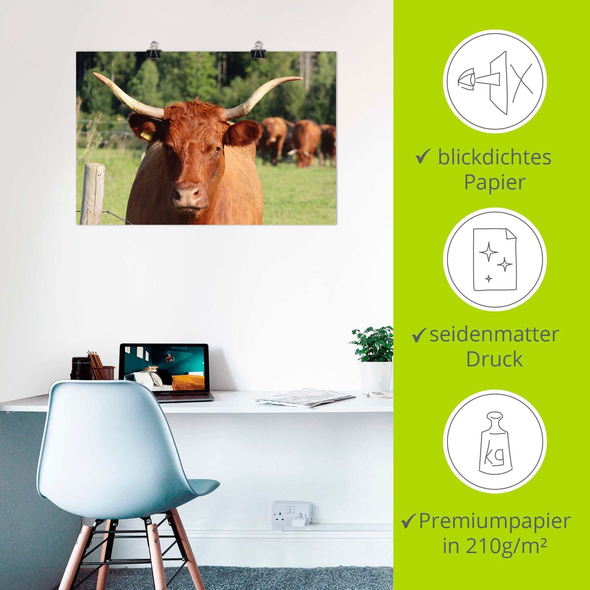 Artland Wandbild »Blickkontakt«, Kuhbilder, (1 St.), als Alubild, Leinwandbild, Wandaufkleber oder Poster in versch. Größen
