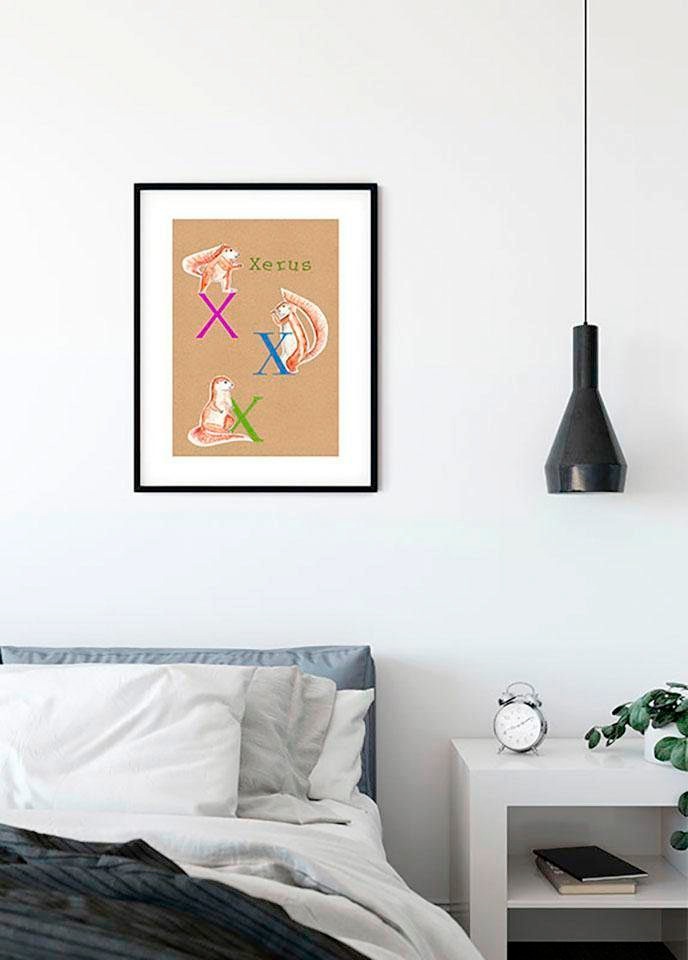 Komar Bild »ABC Animal X«, Buchstaben, (1 St.), Wandbild zur Dekoration - ohne Rahmen