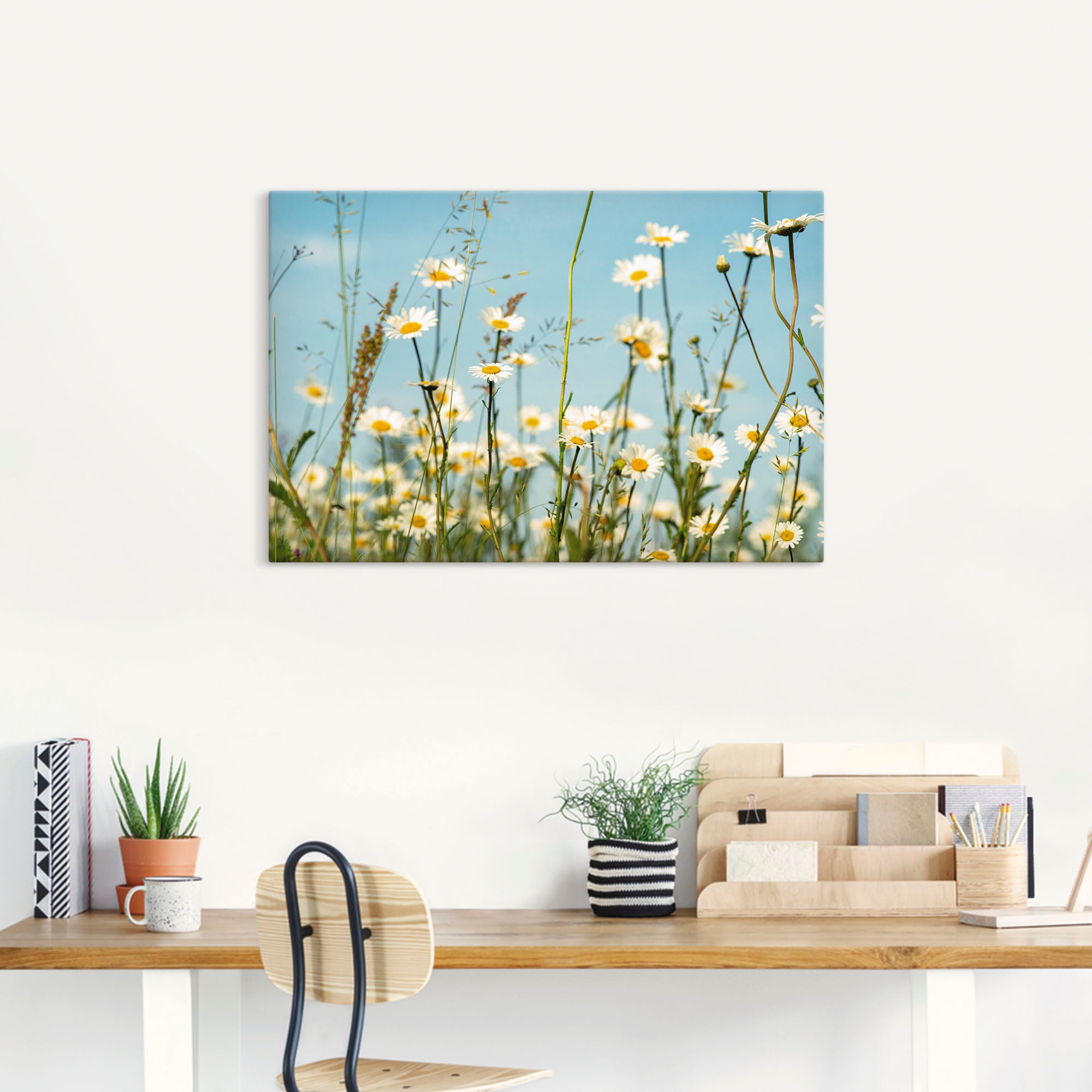 Artland Wandbild "Margeriten vor Sommer Himmel" Blumenbilder 1 Stk. tlg. au günstig online kaufen