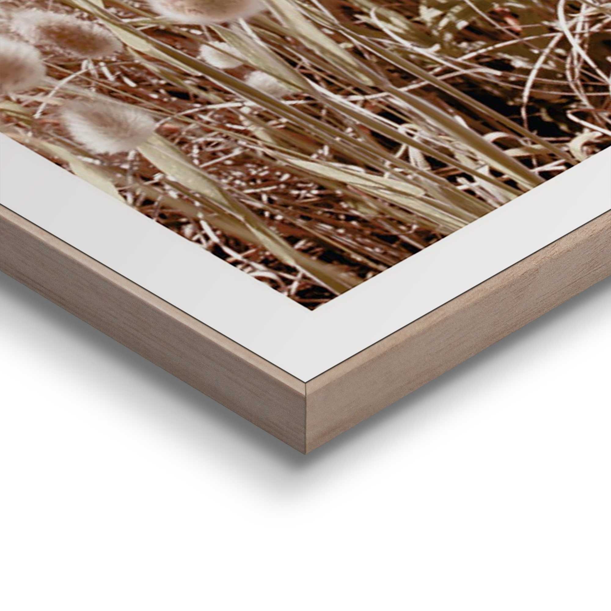 Reinders! Poster »Strand«, Wohnzimmer - Gras - Meer - Sommer - Beige - MDF - Strand - 50x50 cm