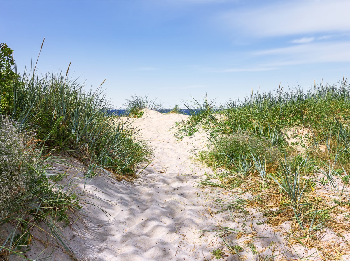 Fototapete »Dünen in der Ostsee«