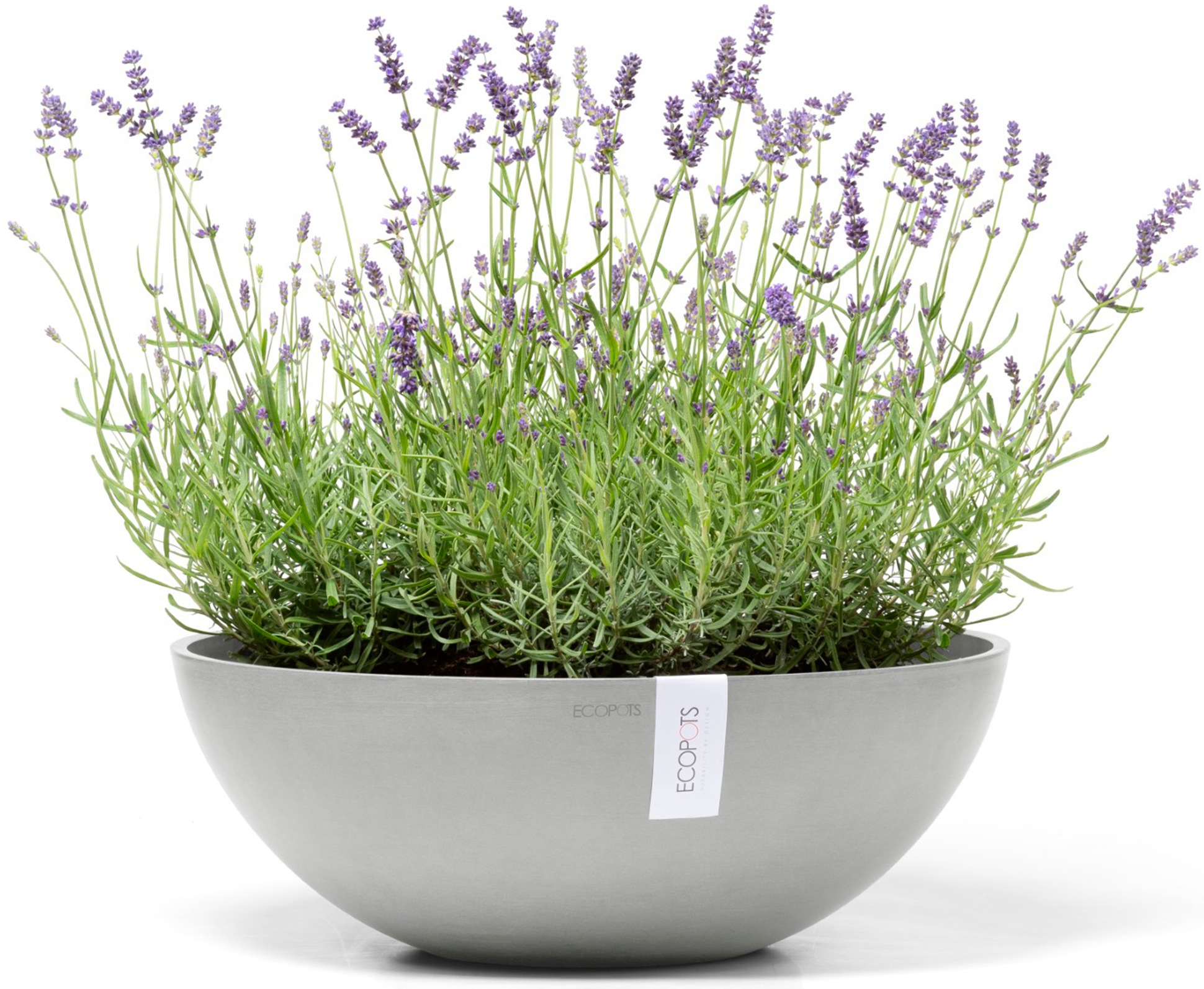 ECOPOTS Blumentopf »Vienna 50 Weißgrau«, für innen und außen: frostsicher, bruchsicher und lichtbeständig