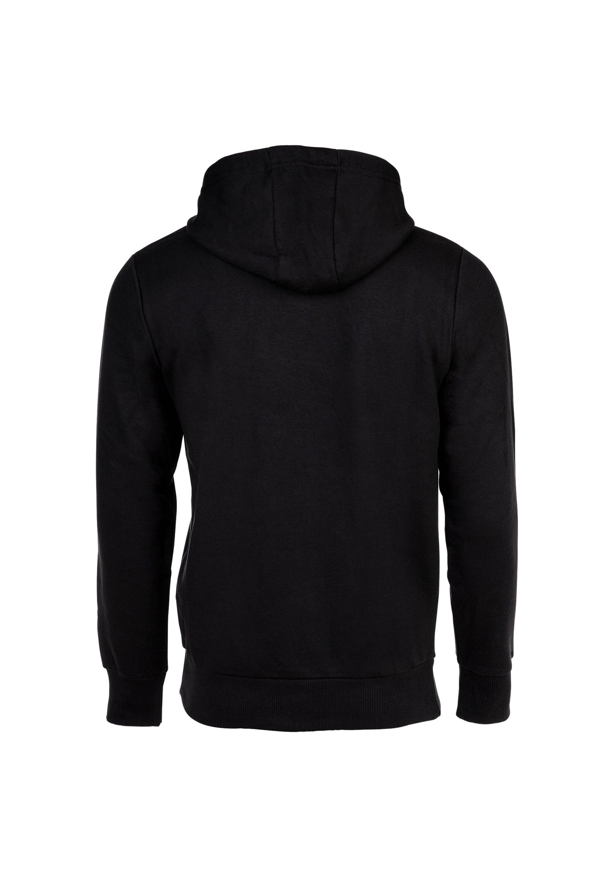 Ellesse Sweatshirt »Sweatshirt PERSHUTA«