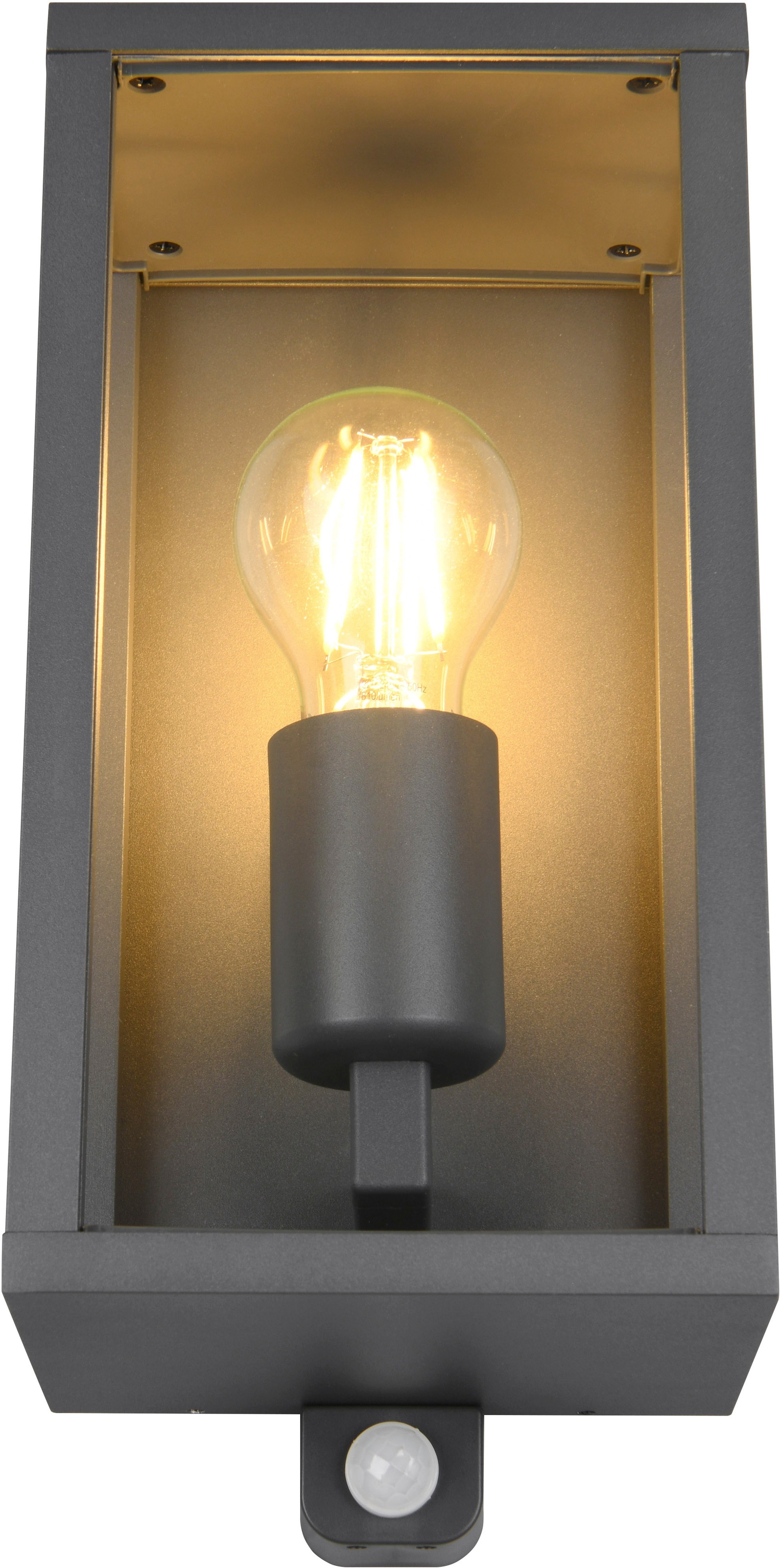 TRIO Leuchten Außen-Wandleuchte »GARONNE, Outdoor Wandlampe exkl 1x E27 max 60W, Hauswand-Leuchte« E27 1 Stk. warmweiß - kaltweiß Garten Wandleuchte IP44 mit Bewegungsmelder, Leuchtdauer einstellbar