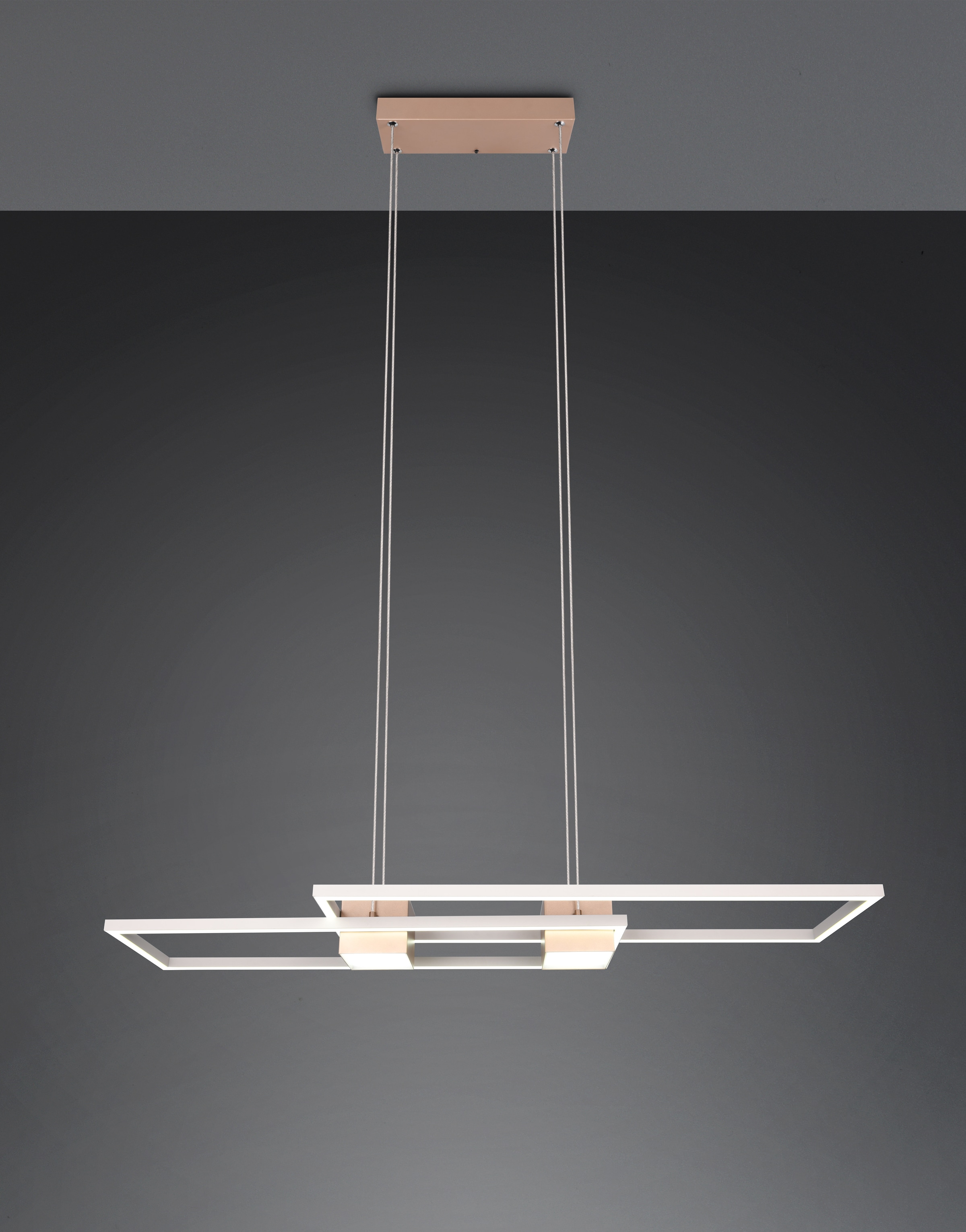 TRIO Leuchten LED Pendelleuchte »ALBANY, LED Hängelampe Wohnzimmer mit Fernbedienung, dimmbar, CCT«, 1 flammig, Leuchtmittel LED-Board | LED fest integriert, Lichtfarbe einstellbar, Memoryfunktion, Nachtlicht, up-and-down Licht