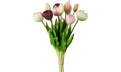 my home Kunsttulpe »Gefüllte Tulpen«, (1 St.) kaufen