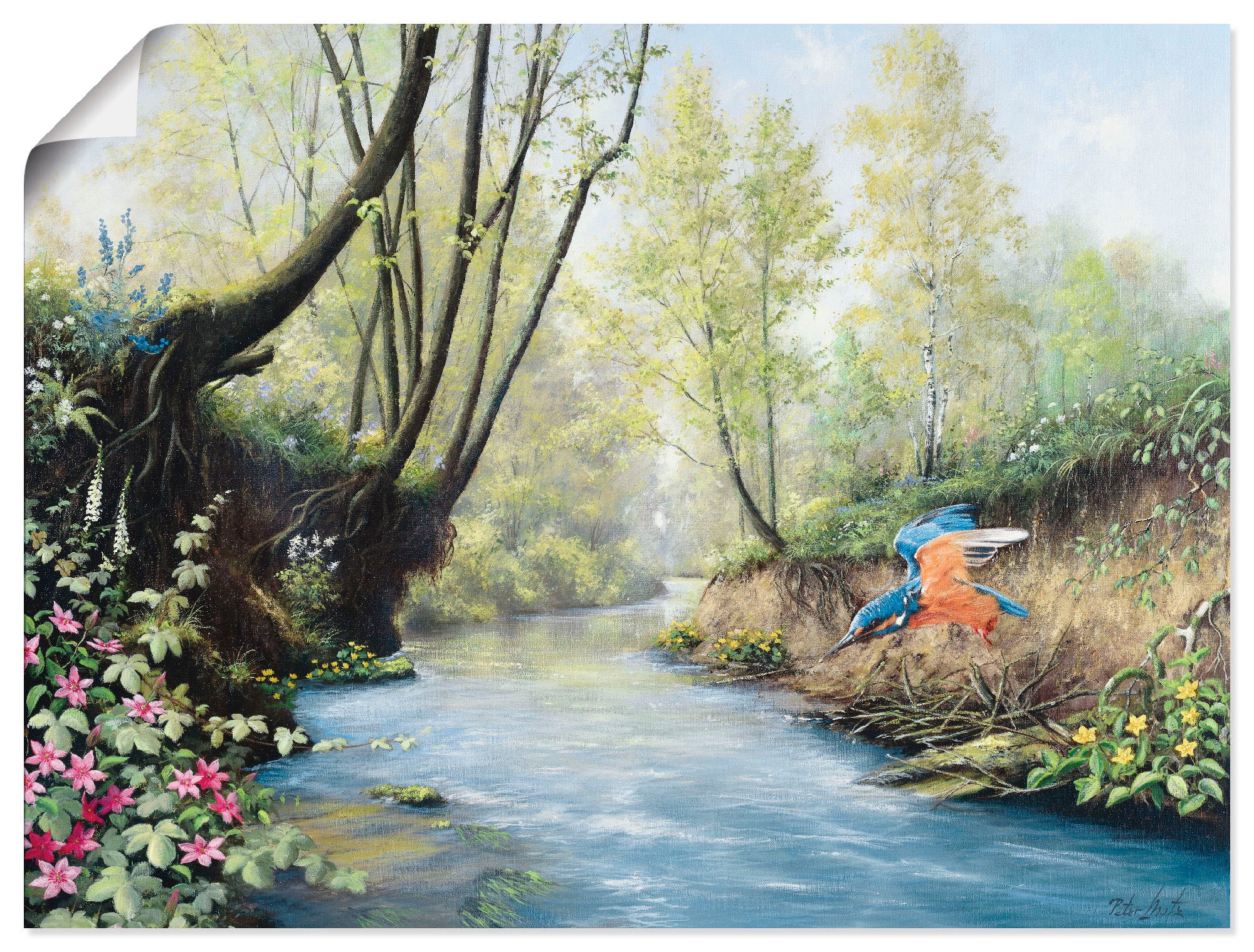 Artland Wandbild »Eisvogel III«, Gewässer, (1 St.), als Leinwandbild,  Wandaufkleber oder Poster in versch. Größen kaufen | BAUR