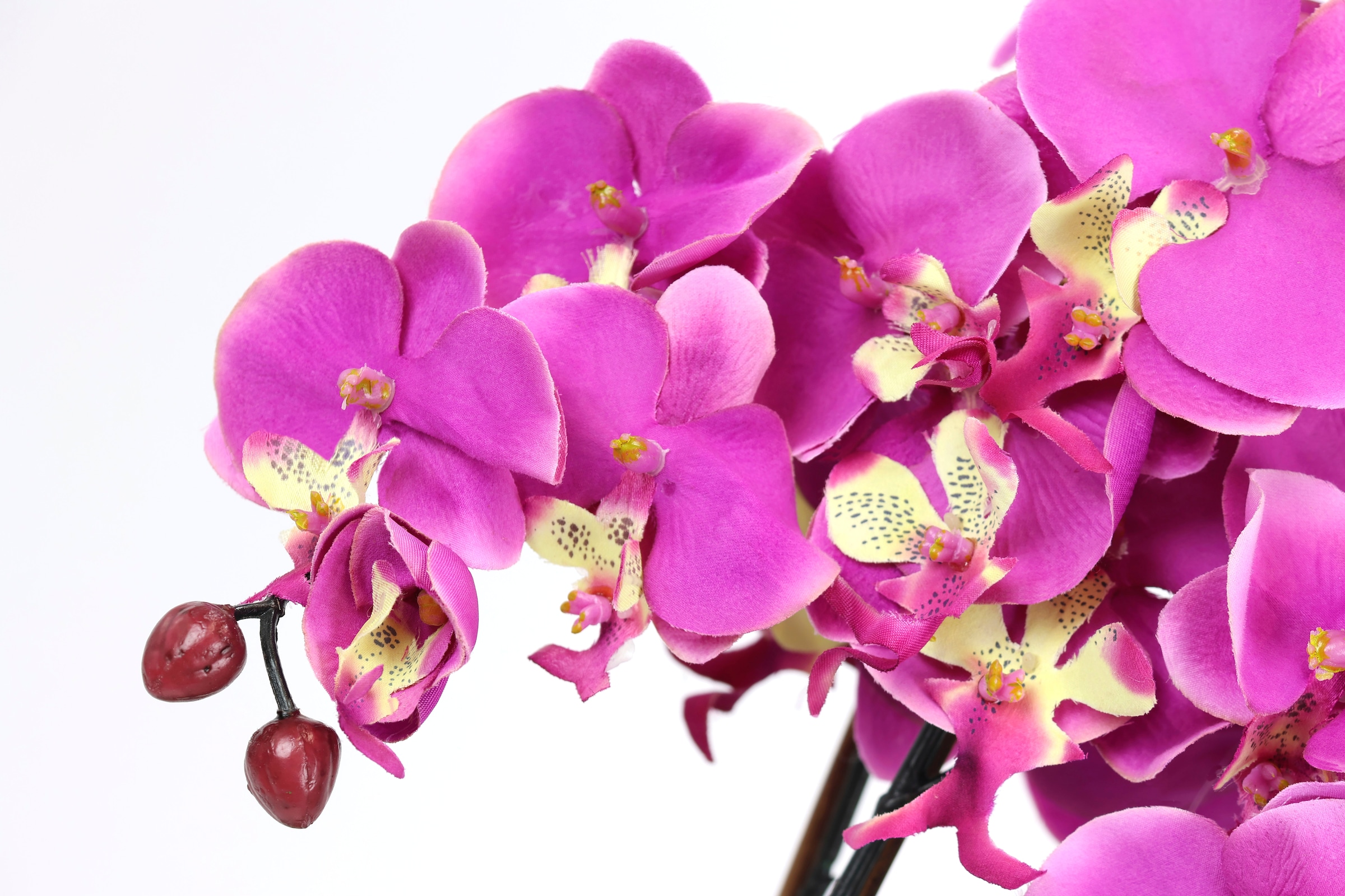 I.GE.A. Kunstblume »Künstliche Orchidee in Schale Phalaenopsis Kunstblume  Blume«, Kunstorchidee Deko Dekoblume Seidenblume | BAUR | Longblazer