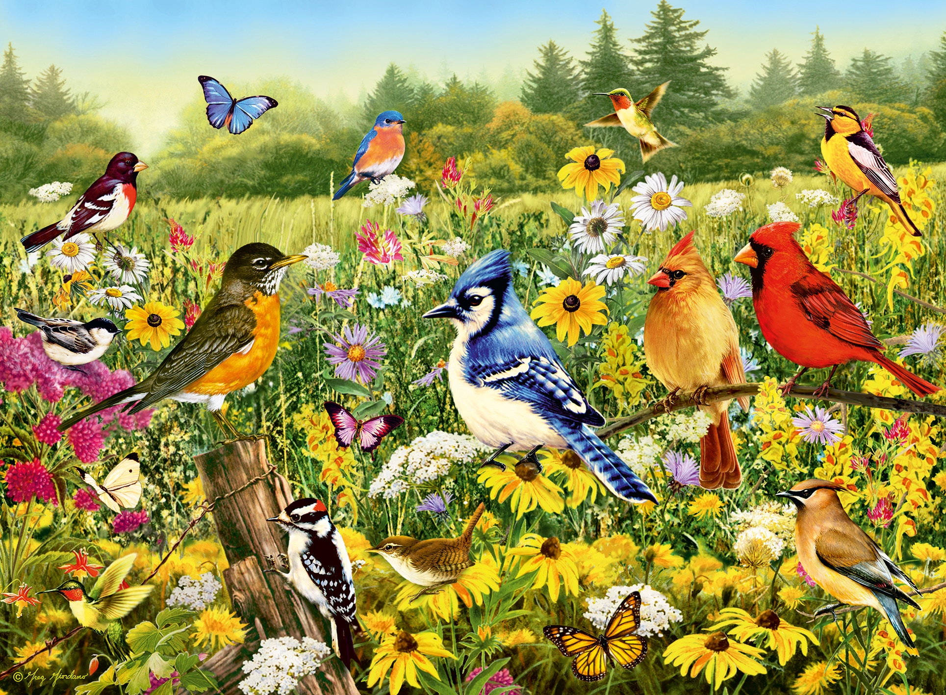 Ravensburger Puzzle »Vogelwiese«, Made in Germany