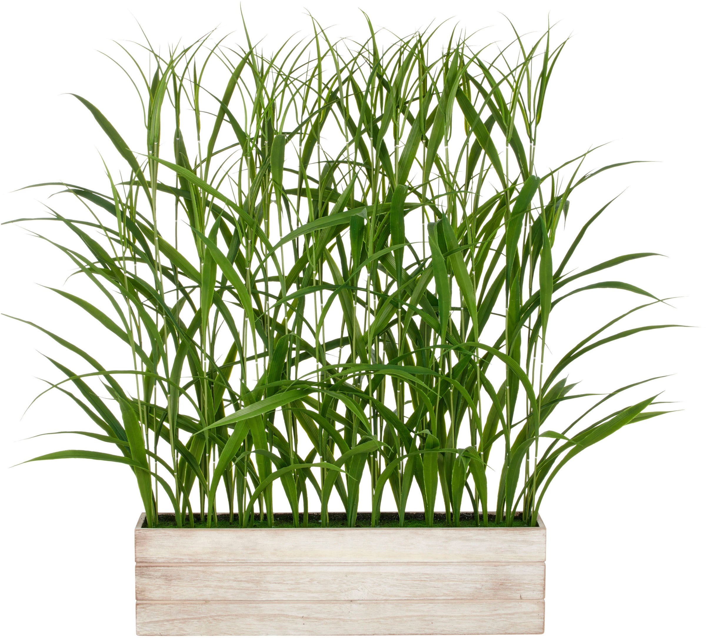 Creativ green Kunstgras "Raumteiler Gras", mit filigranen Grashalmen günstig online kaufen