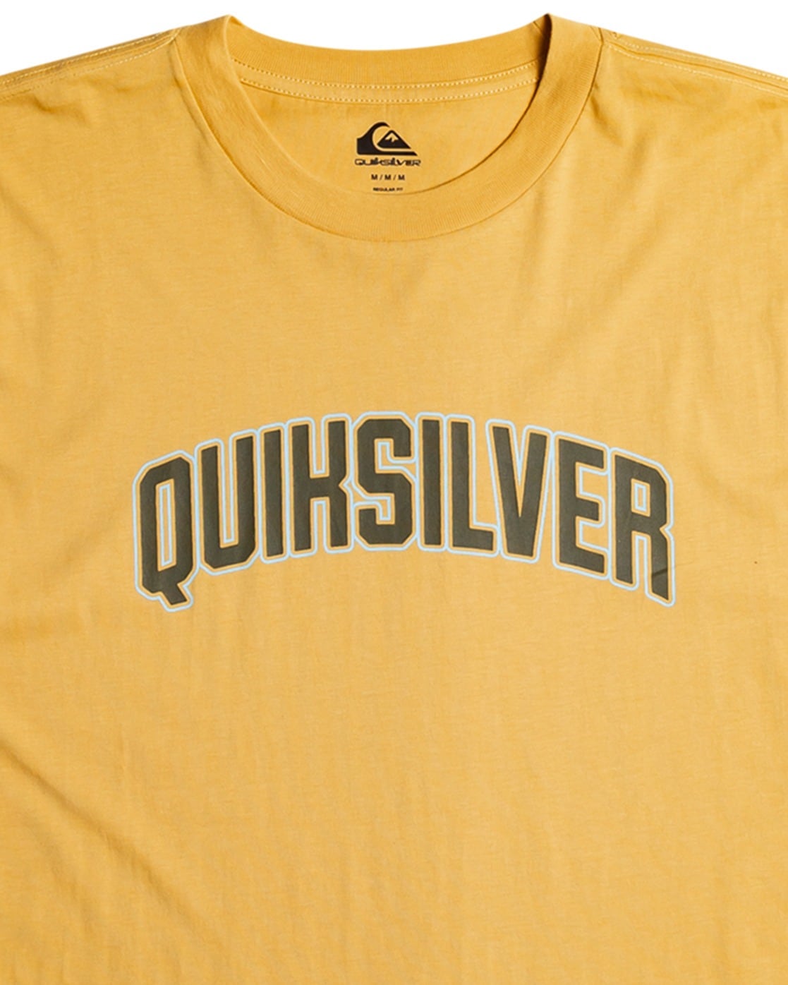 Quiksilver T-Shirt »Scholarship«