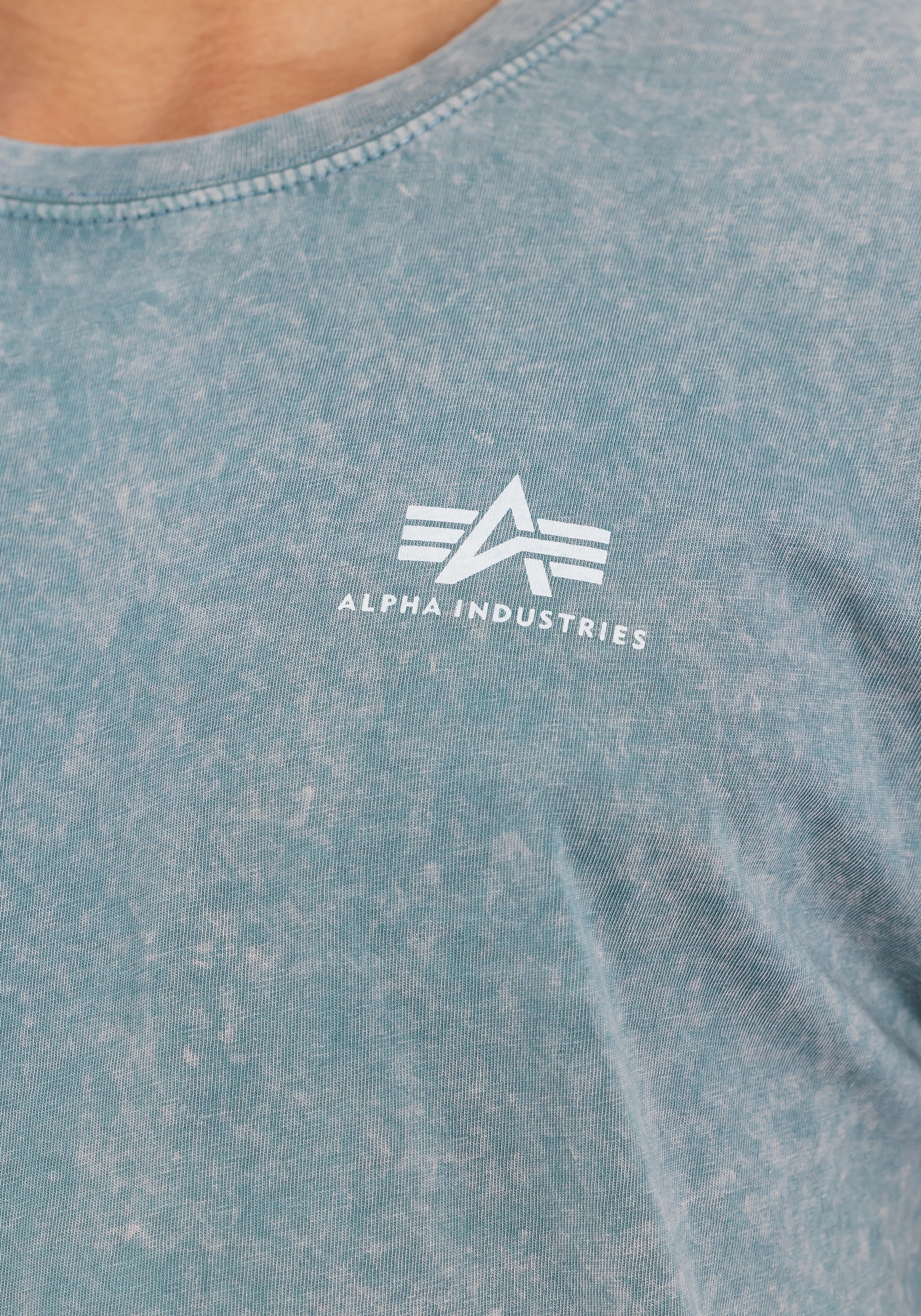 Alpha Industries T-Shirt »Vintage Backprint T-Shirt«