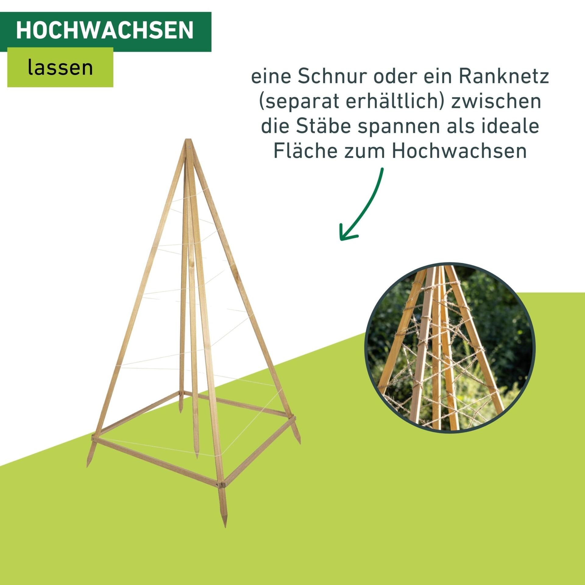 Windhager Rankgitter »Tipi, Holz-Rankgerüst für Blumen und Gemüsepflanzen« Kletterhilfe für den Garten, 75 x 75 x 145 cm