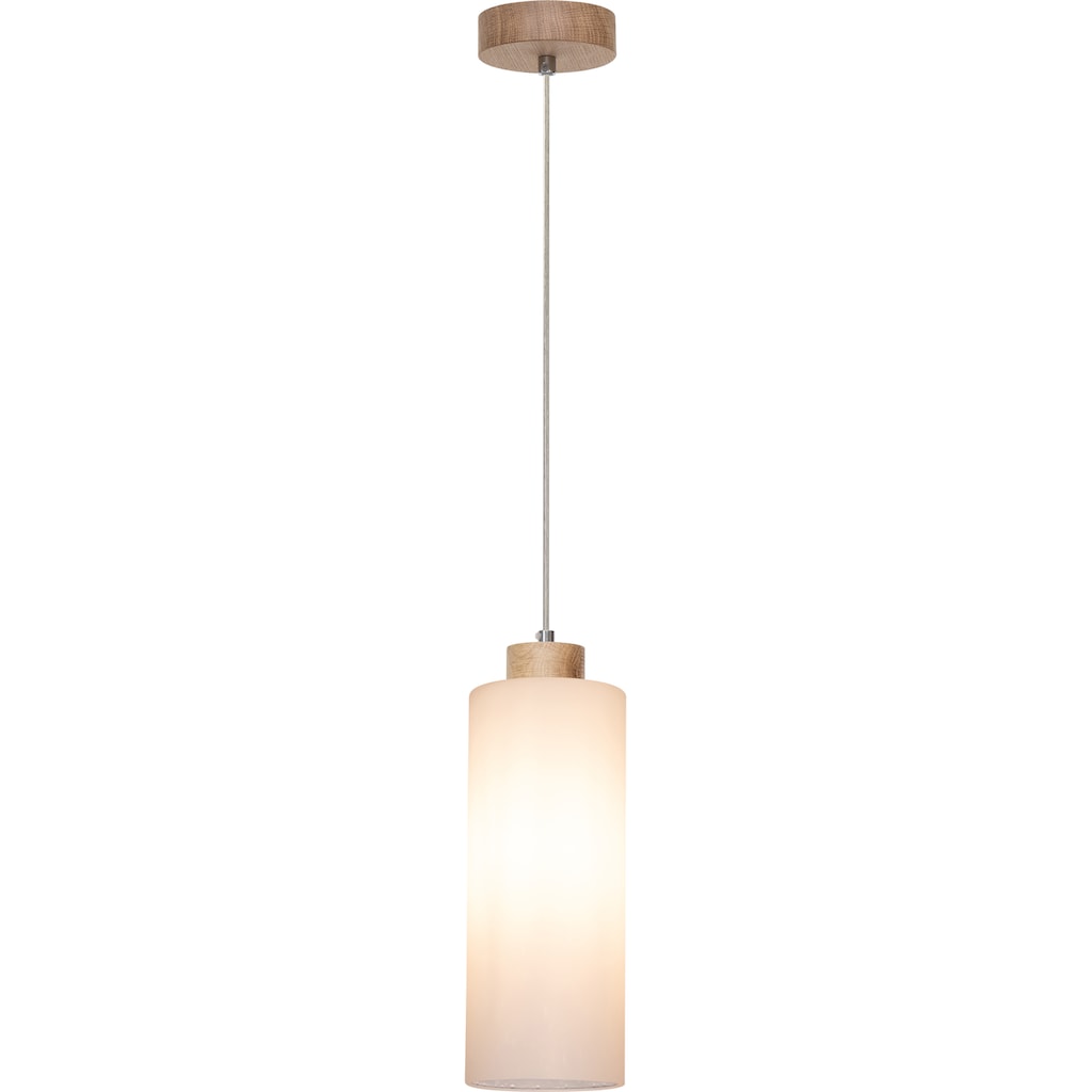 BRITOP LIGHTING Pendelleuchte »ZEFIR«, 1 flammig-flammig