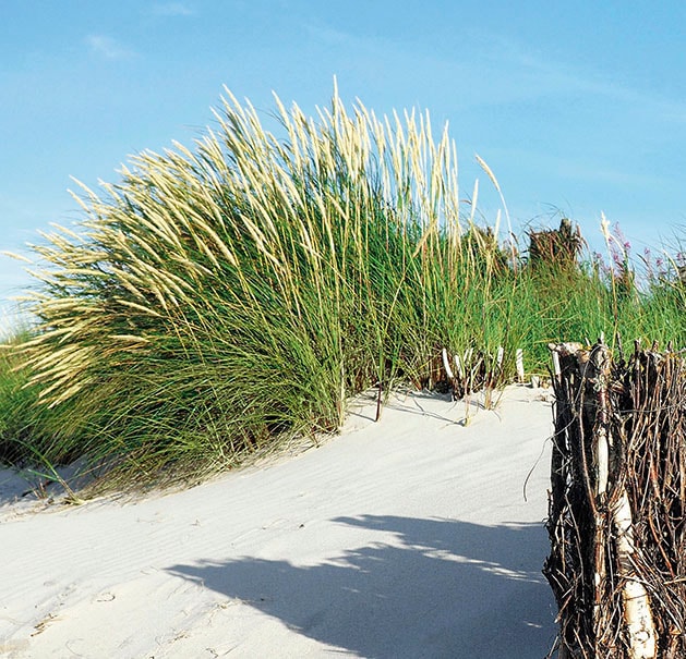 Express Küchen Küchenrückwand "Strand", (1 tlg.)