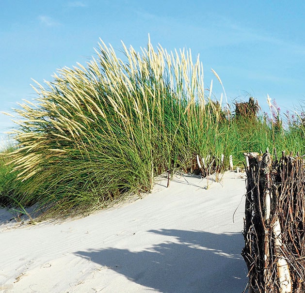 Express Küchen "Strand"