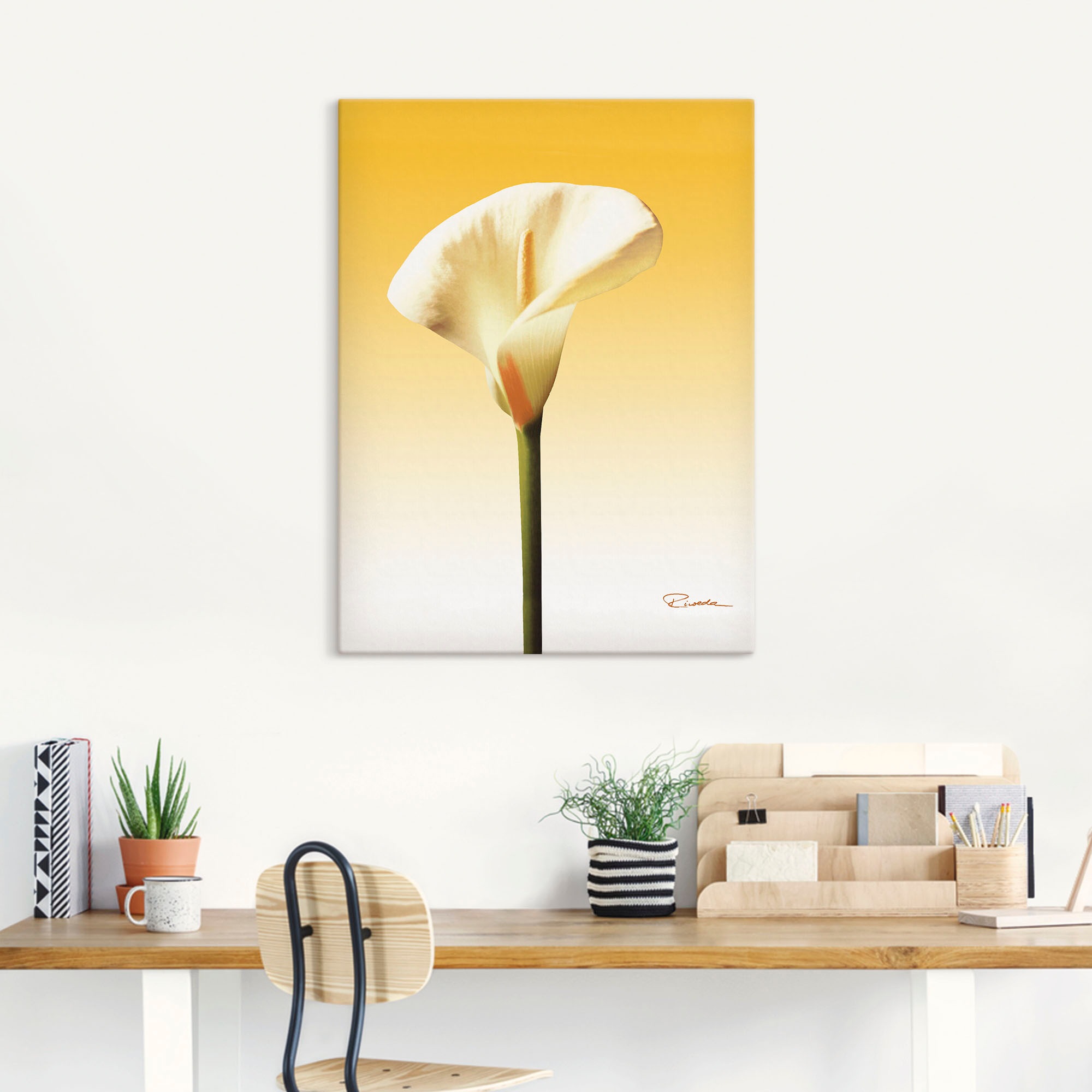 Artland Wandbild »Sonnenschein Calla II«, Blumenbilder, (1 St.), als Leinwandbild, Poster in verschied. Größen