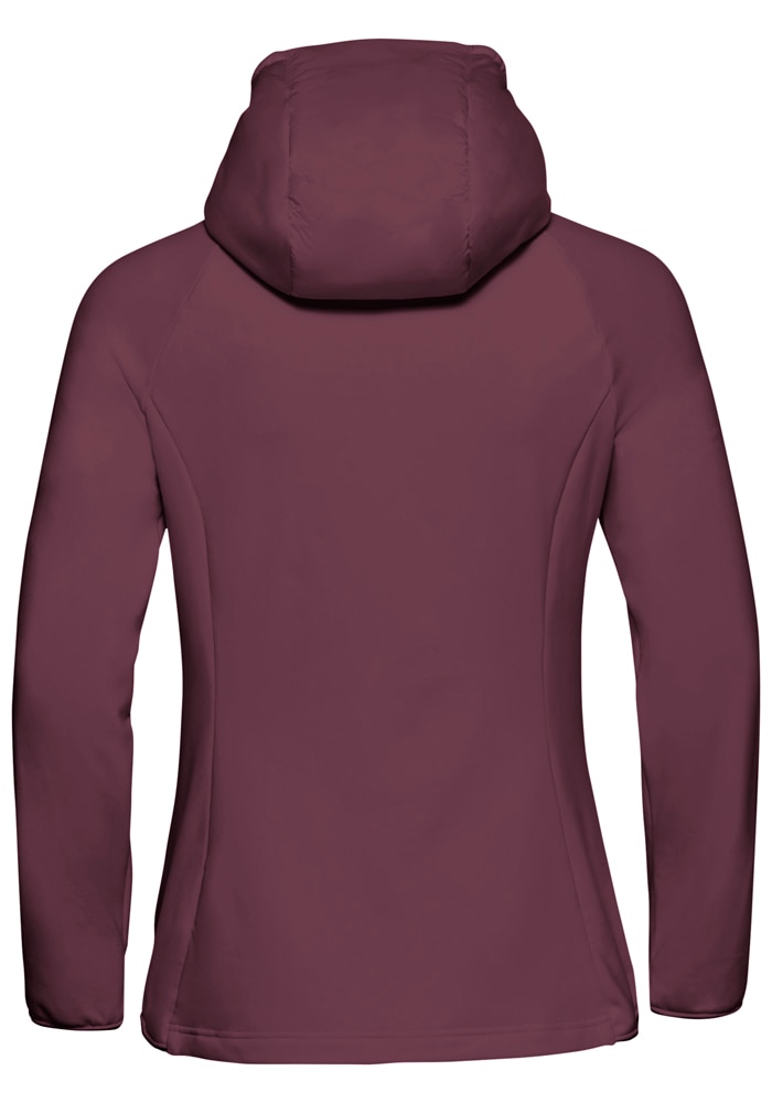 Jack Wolfskin Hybridjacke »ROUTEBURN PRO HYBRID W«, mit Kapuze