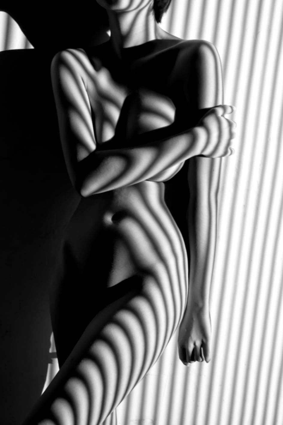 queence Alu-Dibond-Druck »Verführerischer Frauenkörper umhüllt« Bilder von Frauen | Erotische Bilder | Frau | Körper | Modern | Personen 1 Stk. tlg. Sinnliche Wandbilder in Galeriequalität inkl. Aufhängesystem