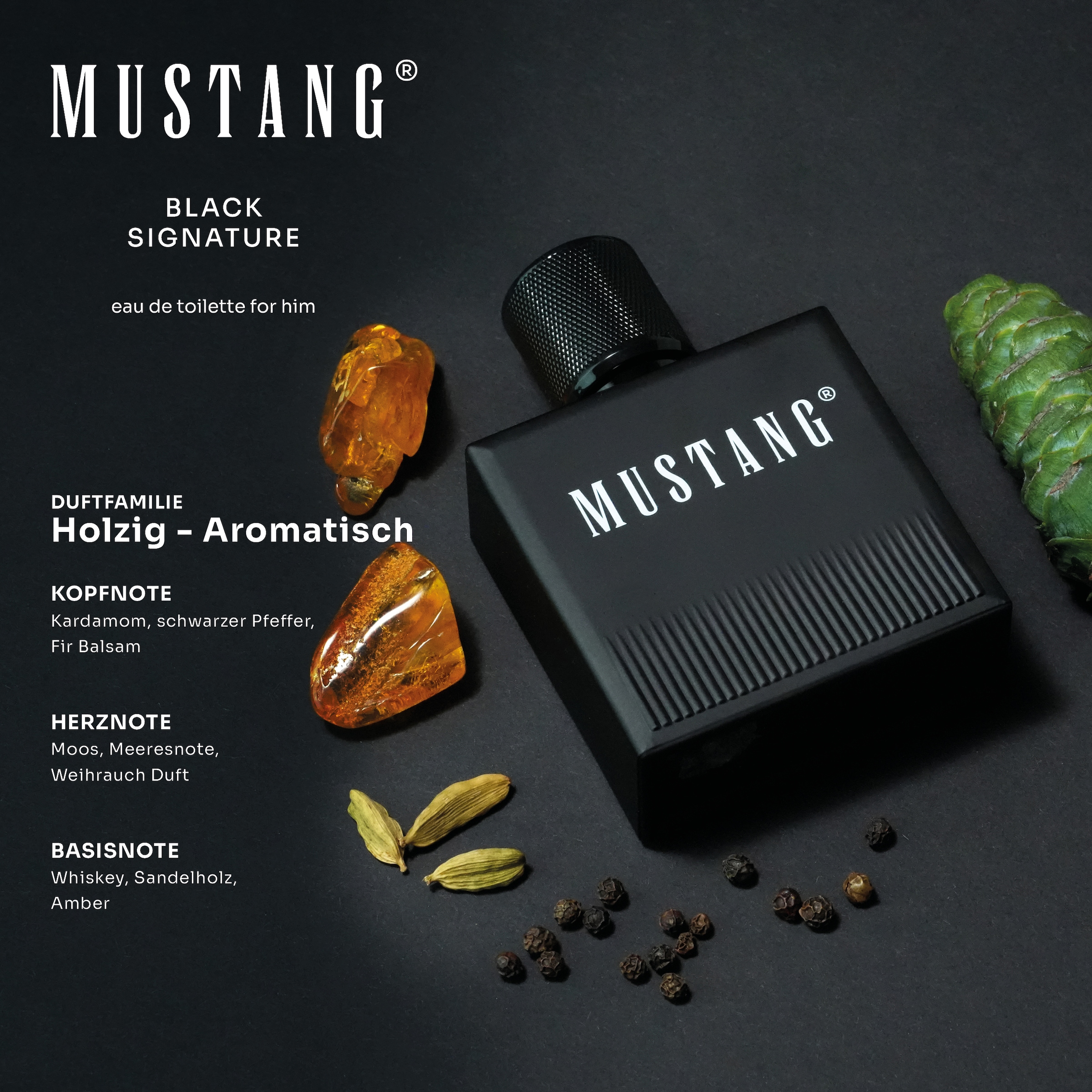 MUSTANG Eau de Toilette »MUSTANG BLACK SIGNATURE FOR HIM EDT« 50ml