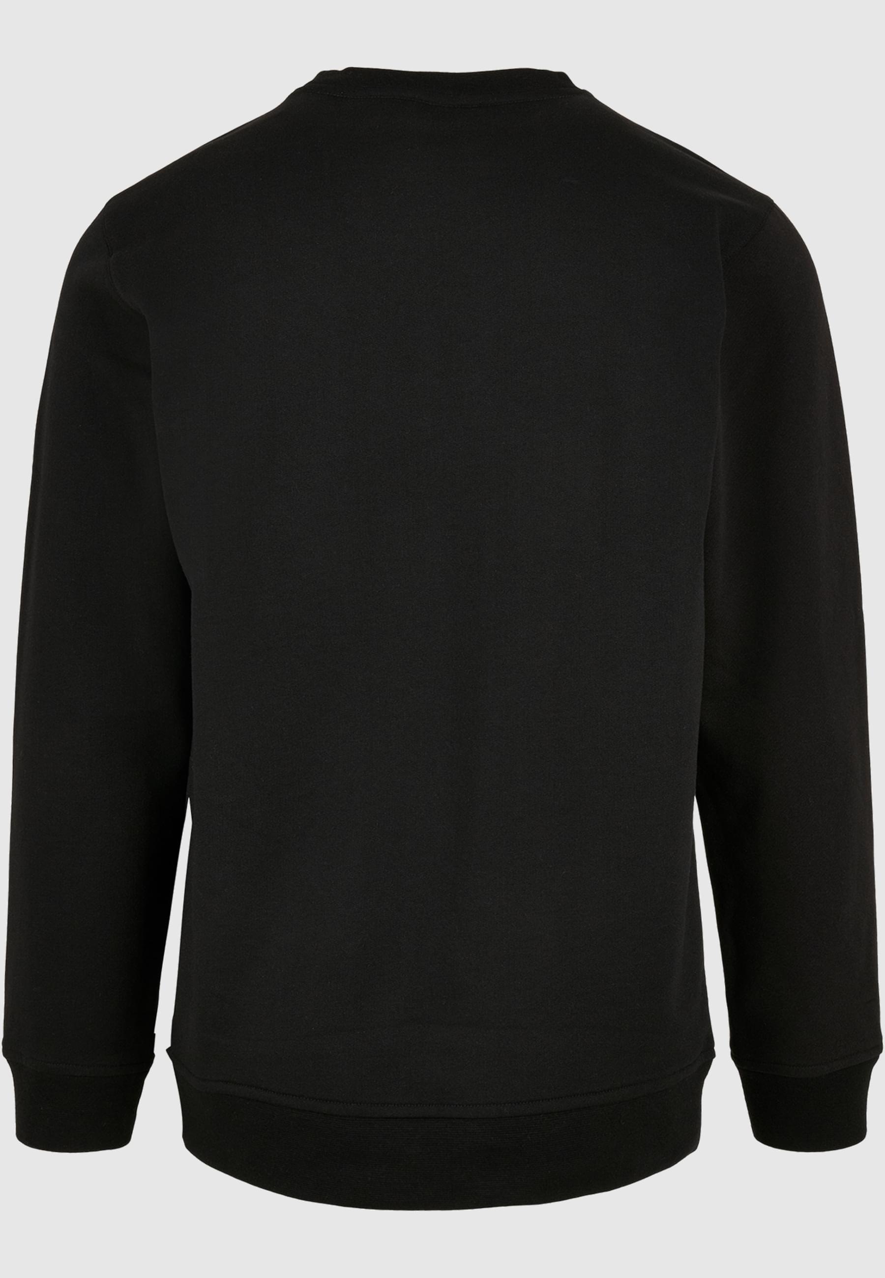 ABSOLUTE CULT Rundhalspullover »ABSOLUTE CULT Herren Flash - Star Labs Logo Crewneck«, (1 tlg.)