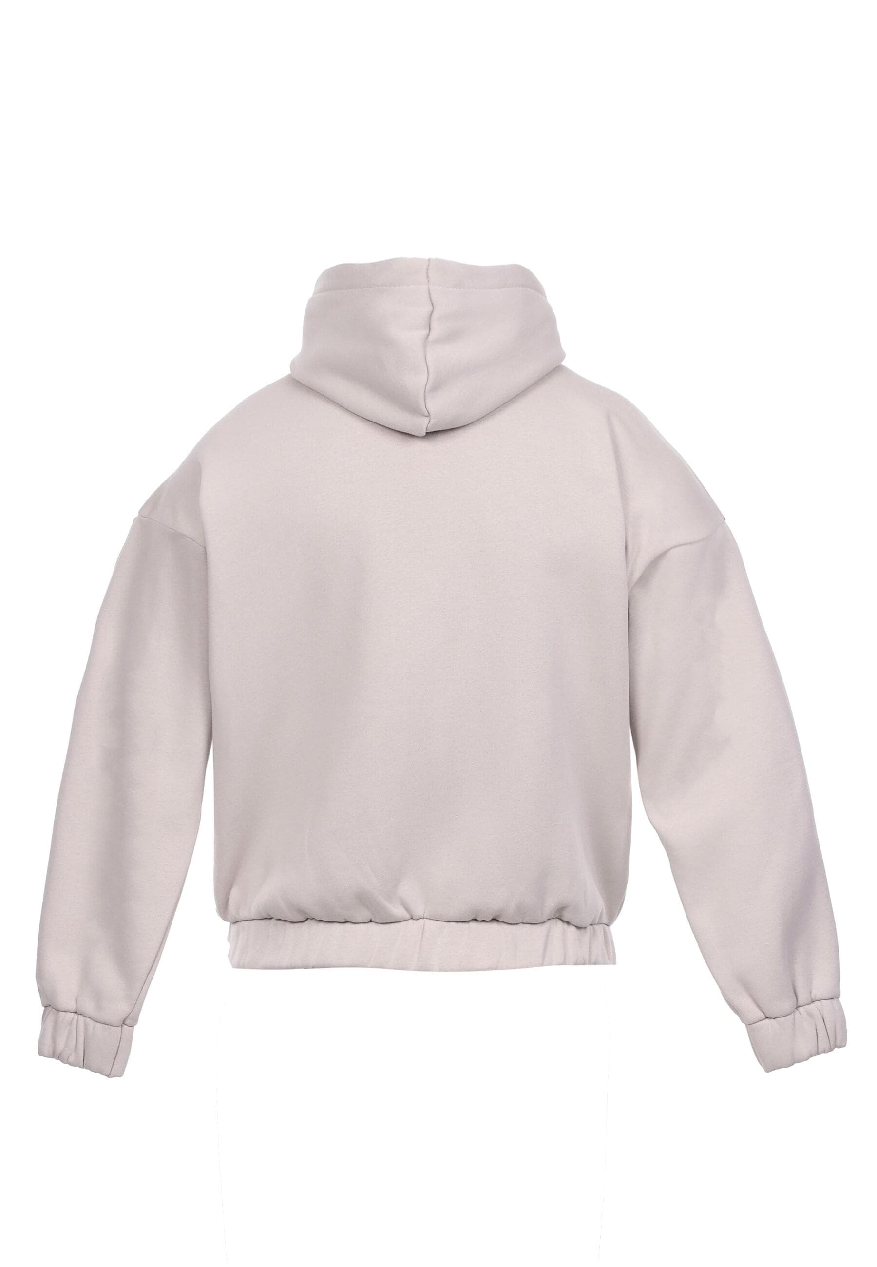 Dropsize Sweatjacke »Dropsize SUPER HEAVY OVERSIZED HD-PRINT ZIP-HOODIE V2«