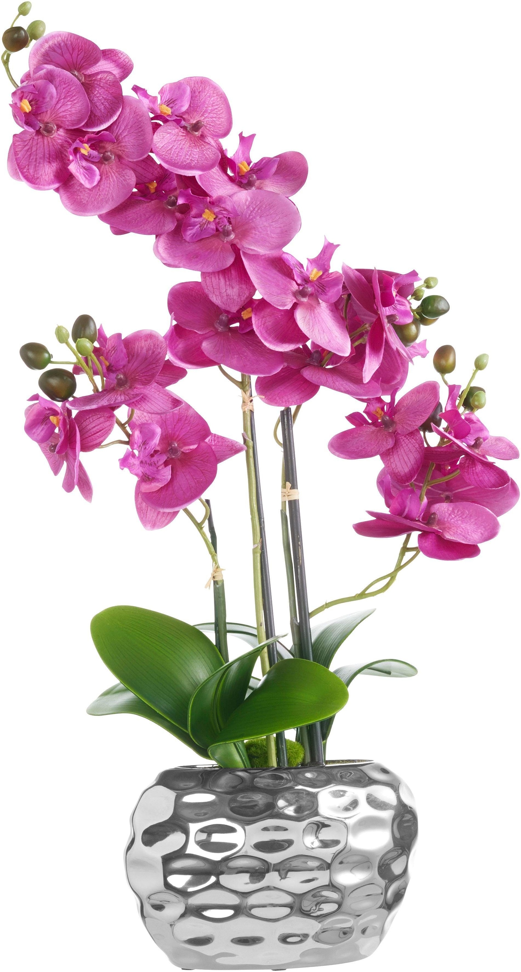 Creativ green Kunstpflanze »Orchidee« kaufen | BAUR | Kunstpflanzen