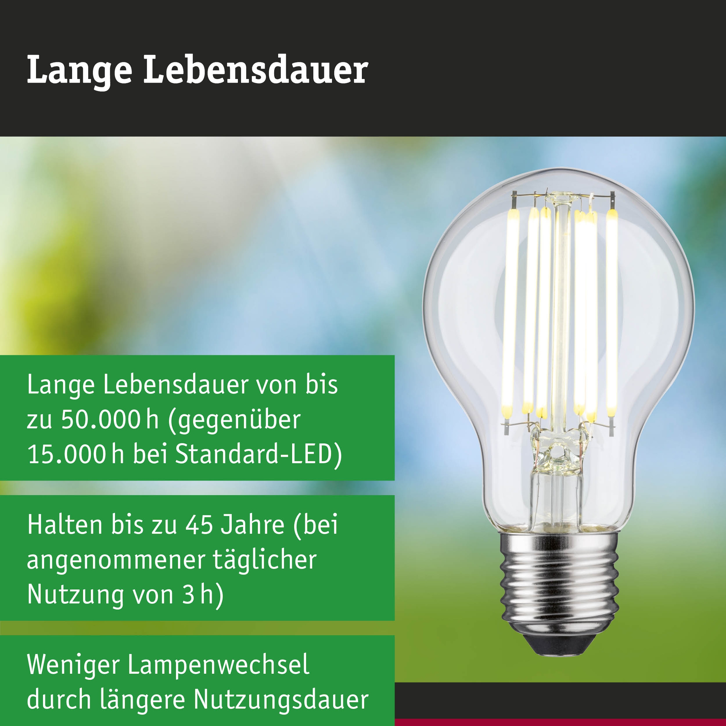 Paulmann LED-Leuchtmittel »Efficient-Line Filament 230V LED Birne E27 1 St. 1055lm 5W 4000K Klar« E27 1 Stk. Neutralweiß