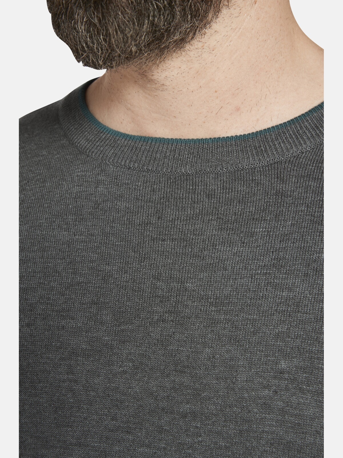 Charles Colby Rundhalspullover »Pullover EARL ARCHIE«