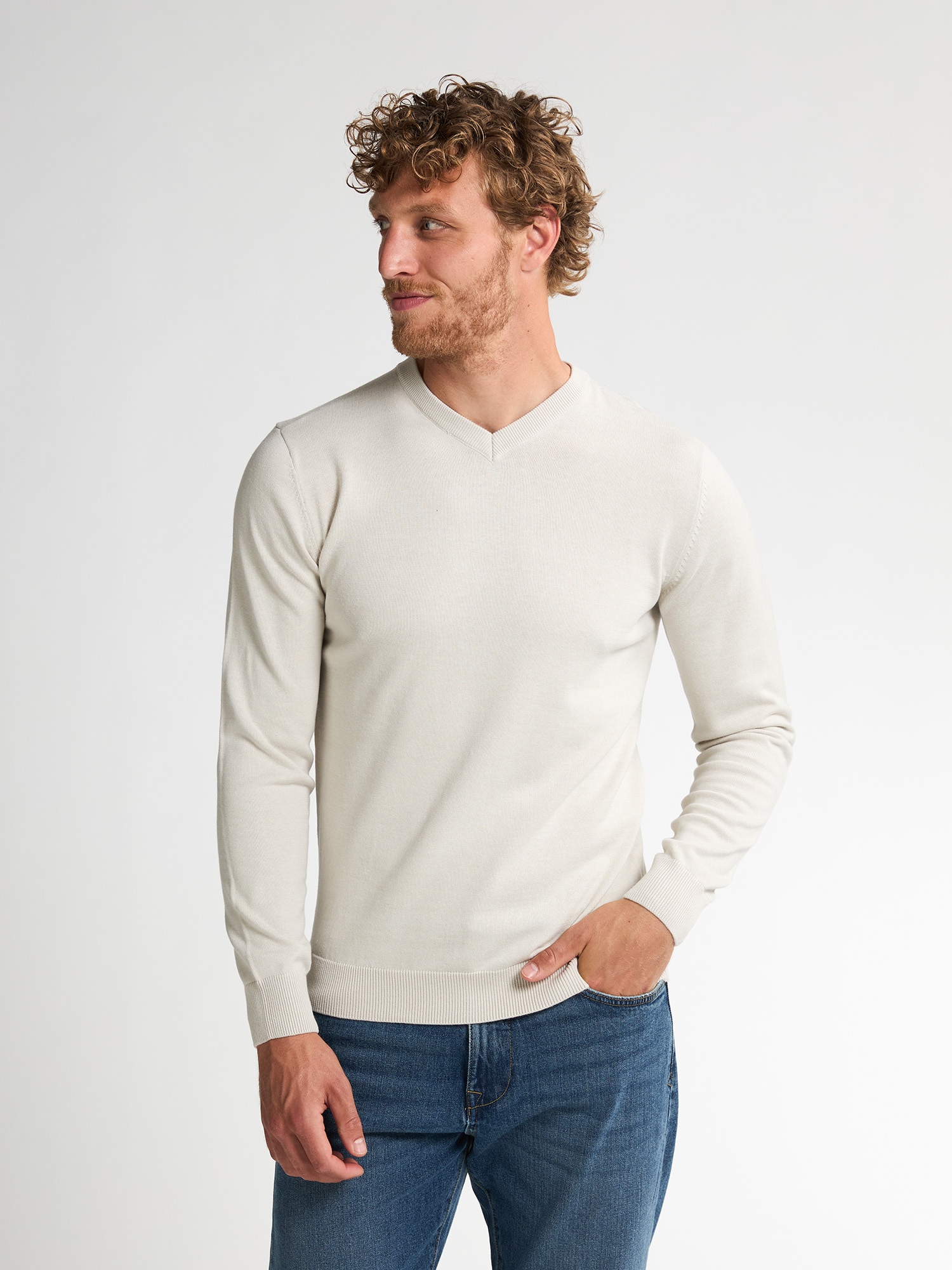 Petrol Industries V-Ausschnitt-Pullover "V-Neck Basi", Materialmix mit Baum günstig online kaufen