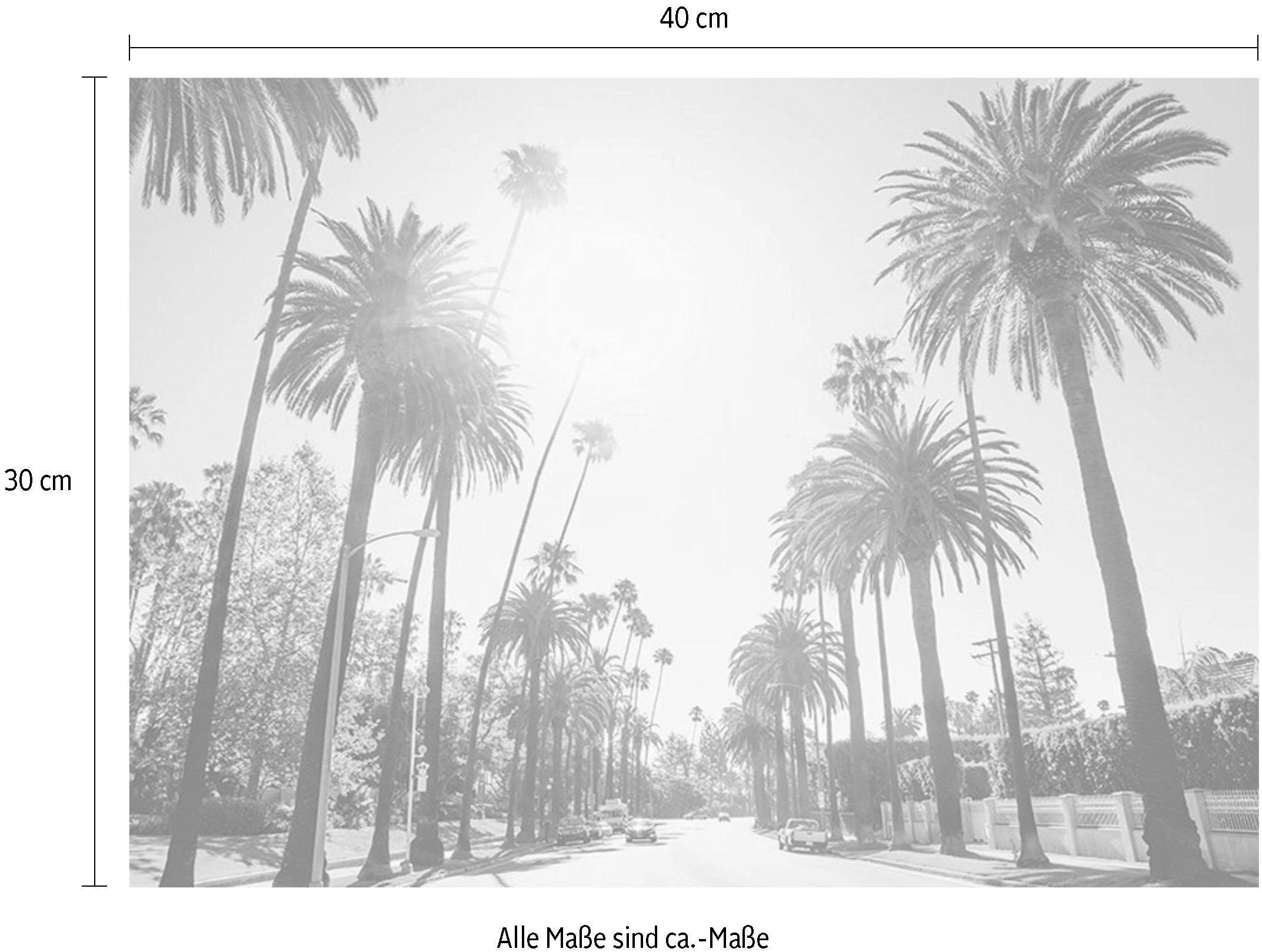Städte, bestellen Alley«, Höhe: 50cm »Palm | BAUR Poster Komar