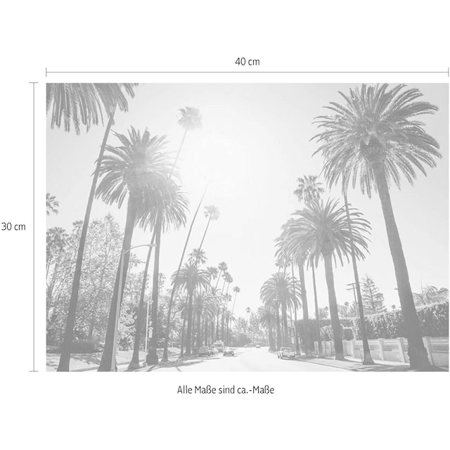 Komar Poster »Palm Alley«, Städte, Höhe: 50cm bestellen | BAUR