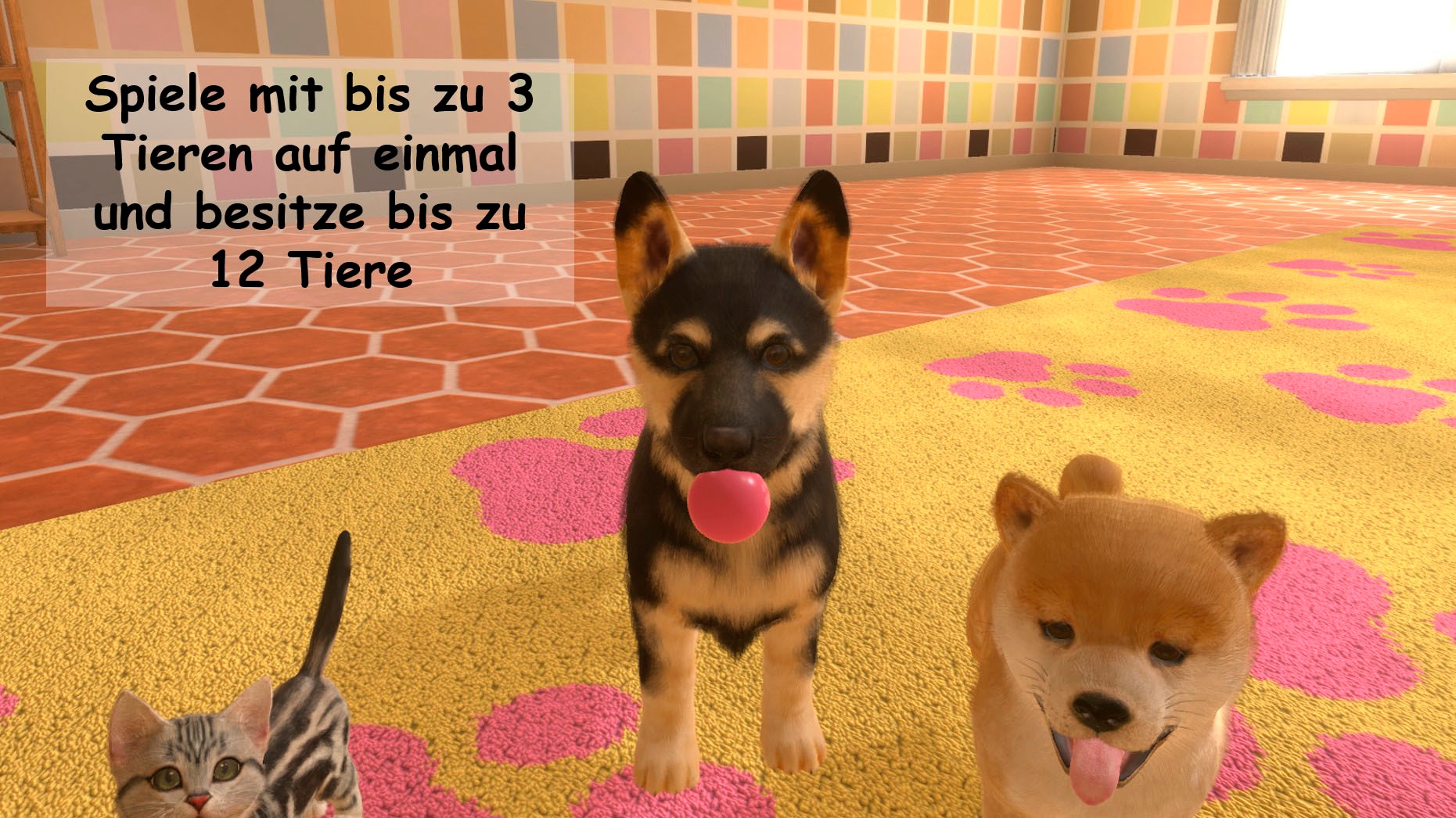 NBG Spielesoftware »Little Friends: Dogs & Cats (Code in a Box) - Nintendo Switch«, Nintendo Switch