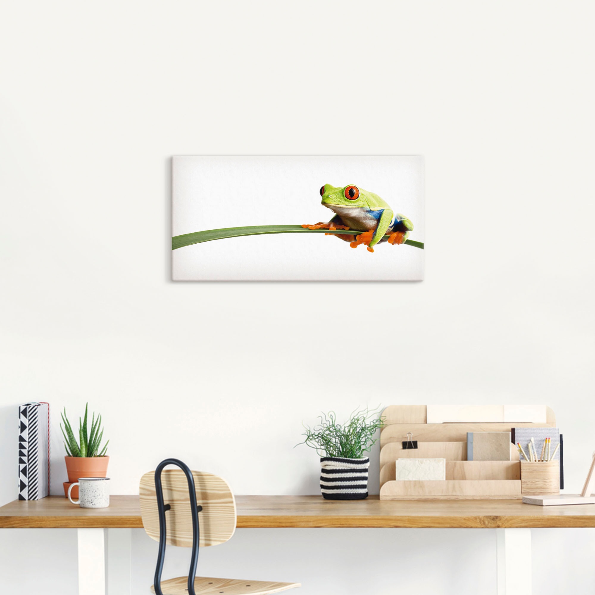 Artland Wandbild "Frosch auf einem Blatt" Wassertiere 1 Stk. tlg. als Leinw günstig online kaufen