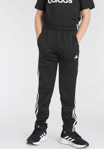 adidas Sportswear Sportinės kelnės »TRAIN ESSENTIALS AER...