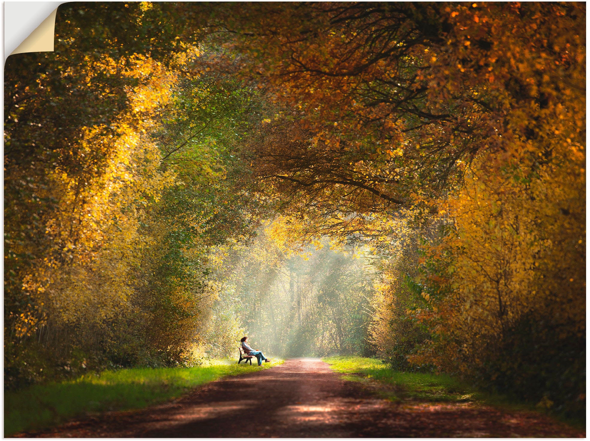 Artland Wandbild »Licht am Ende des Tunnels...«, Wald, (1 St.), als Leinwandbild, Wandaufkleber in verschied. Größen