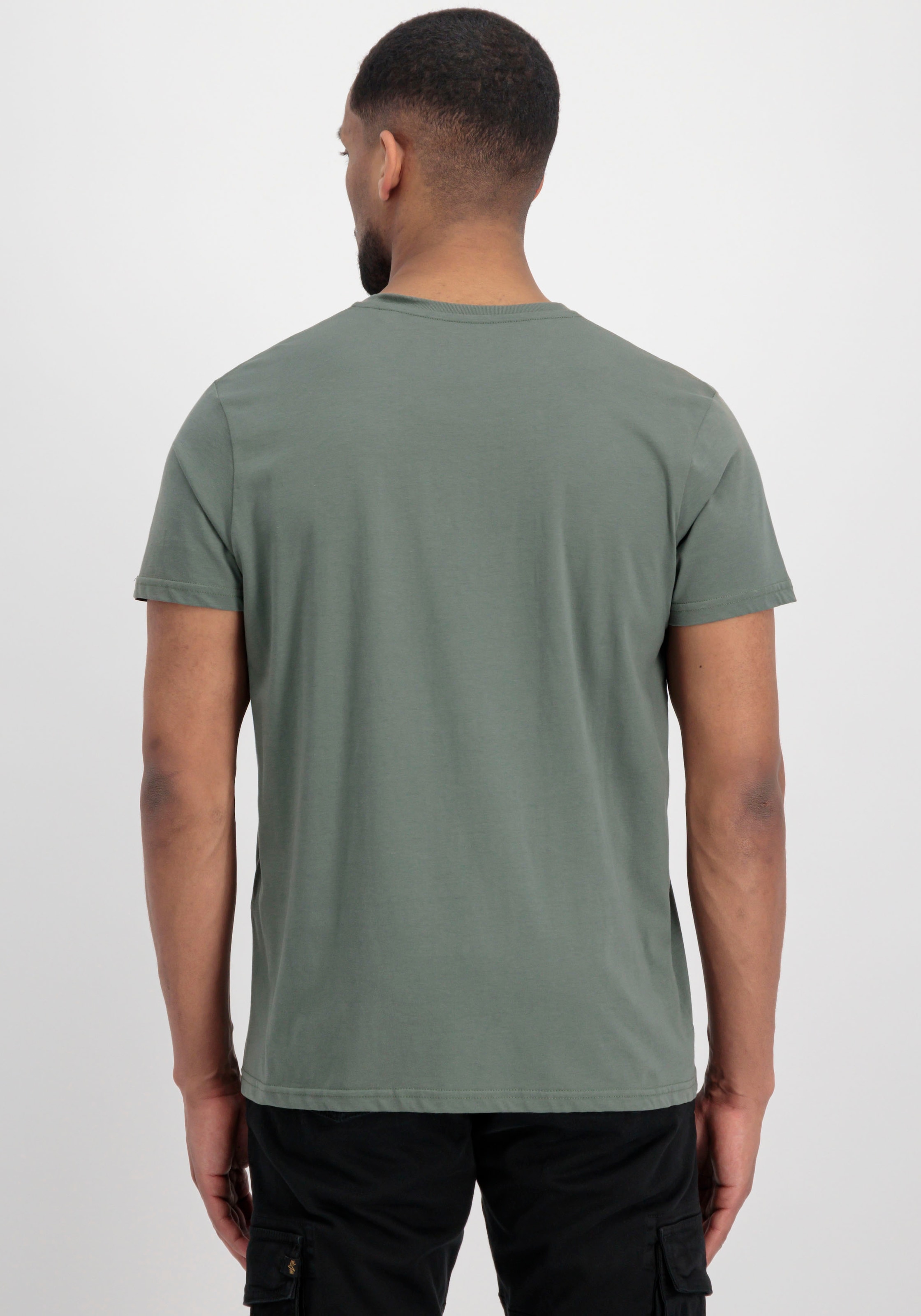 Alpha Industries Rundhalsshirt »BASIC T SMALL LOGO«
