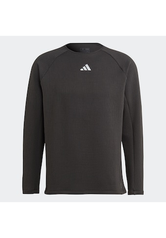 Laufshirt »ULT CTE WARM LS«