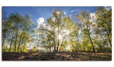 Leinwandbild »Frühlingssonne«, Wald, (1 St.)