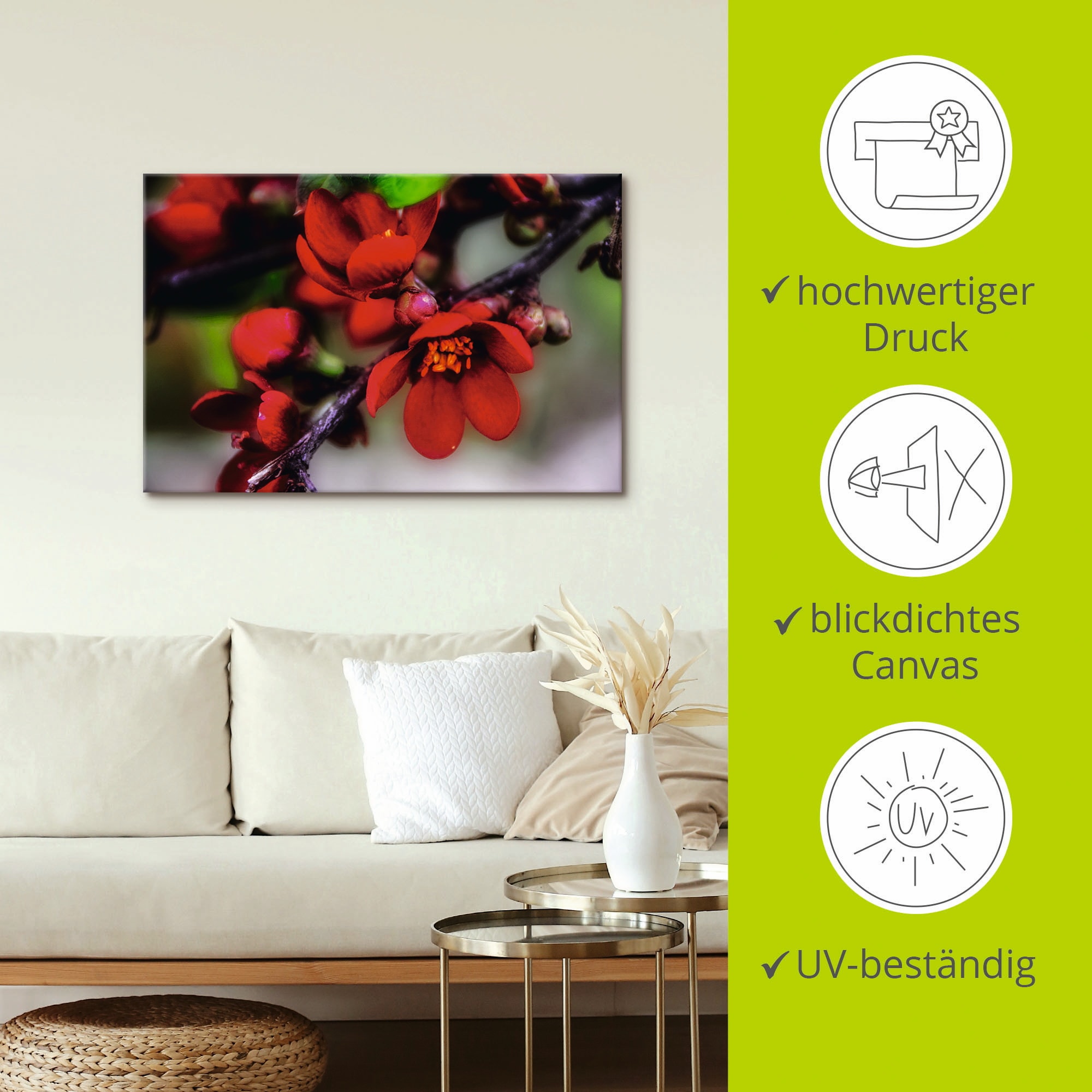 Artland Wandbild »Quittenblüte II«, Blumen, (1 St.), als Alubild, Outdoorbild, Leinwandbild in verschied. Größen