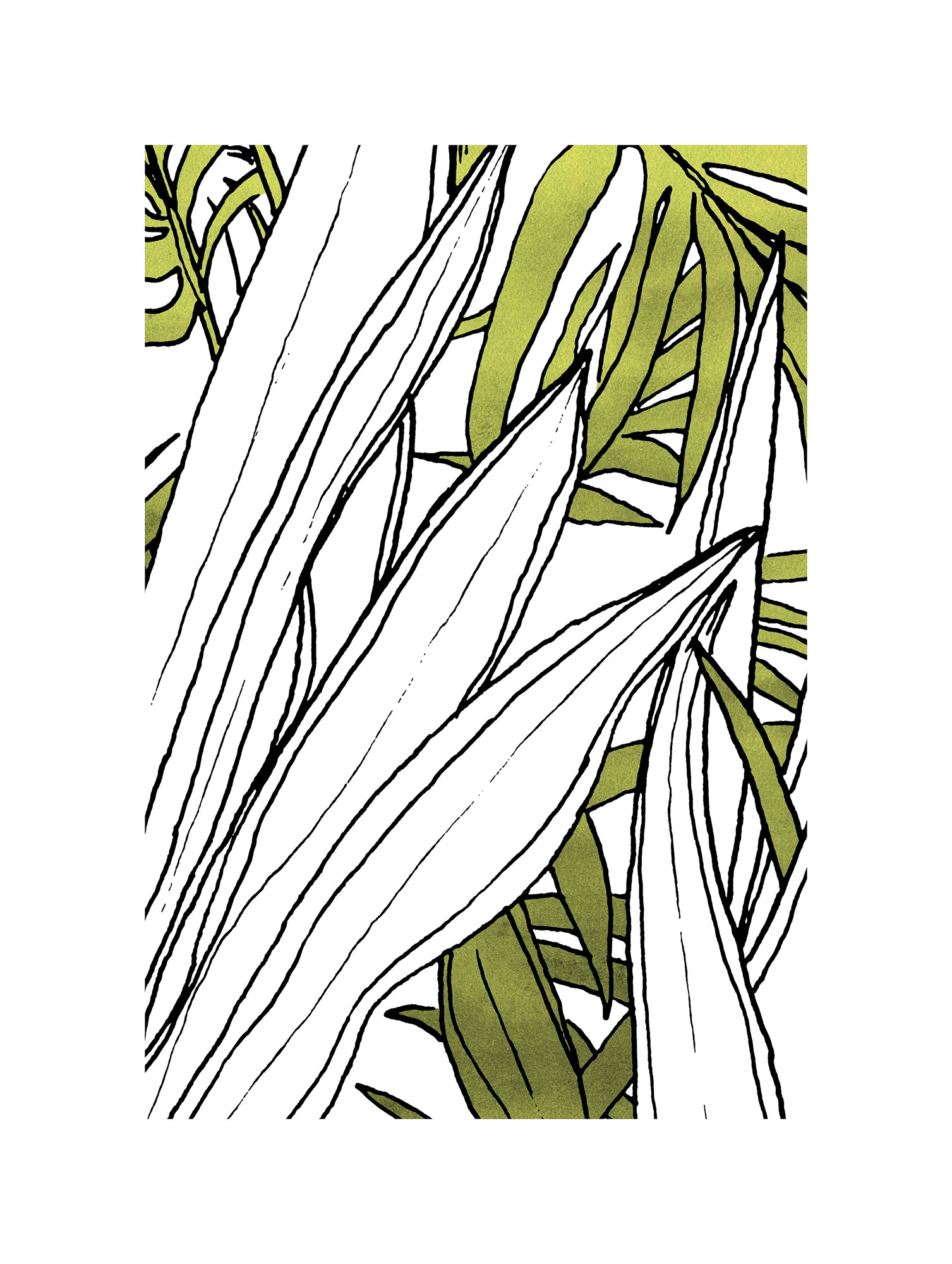 Komar Bild "Bleached Leaves", Natur, (1 St.), Wandbild zur Dekoration - ohn günstig online kaufen